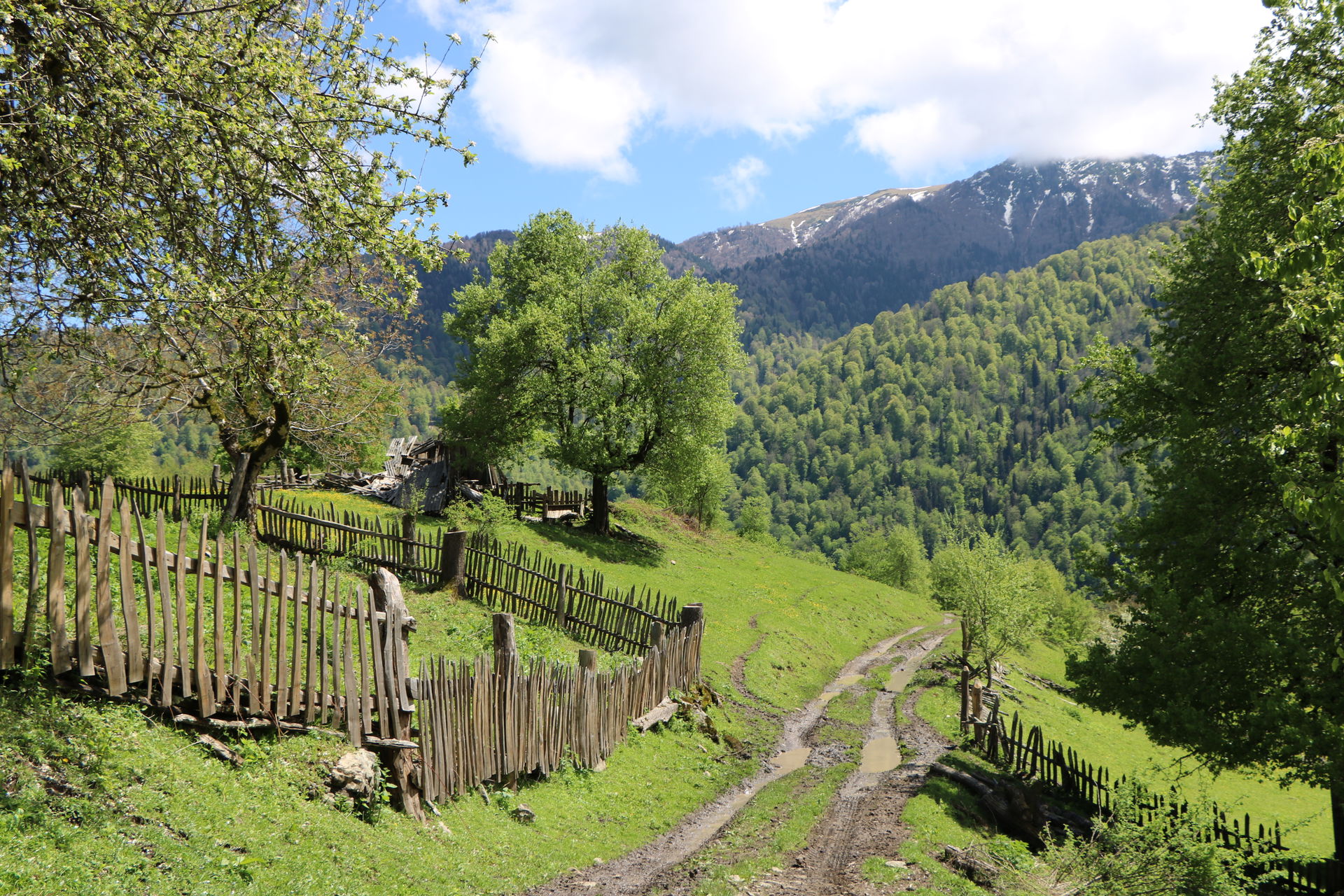 The image of village Sakhvlari in the middle of Borjomi-Kharaga…