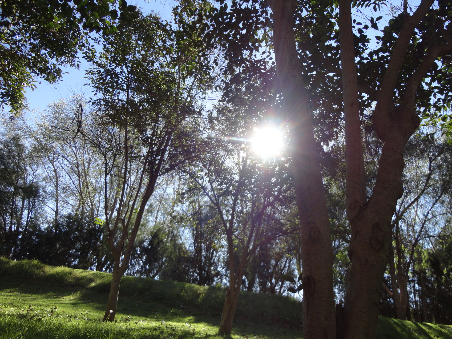 Atardecer en Parque Tangamanga, San Luis Potosí, SLP, México.