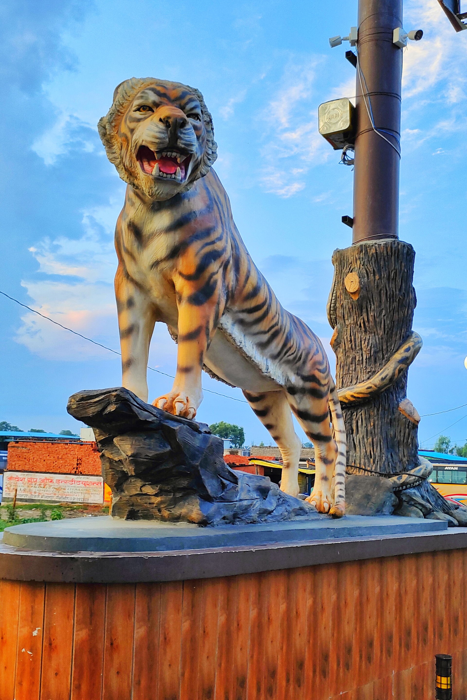 Tiger Tiraha Pilibhit