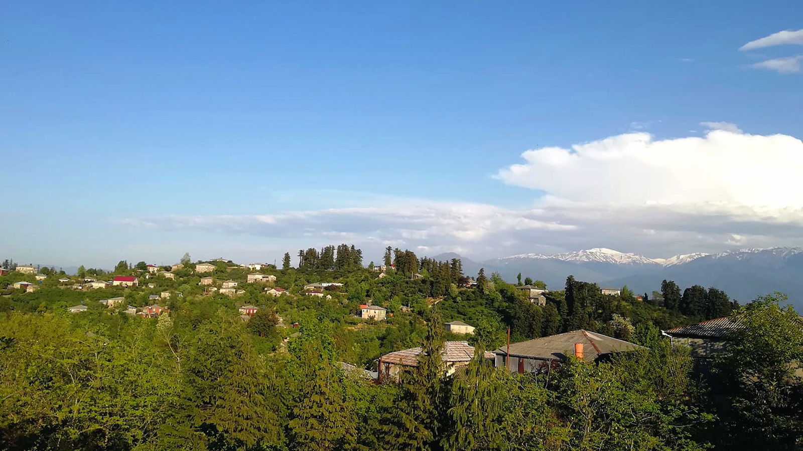 Kveda Nasakirali is a townlet in Guria, Georgia