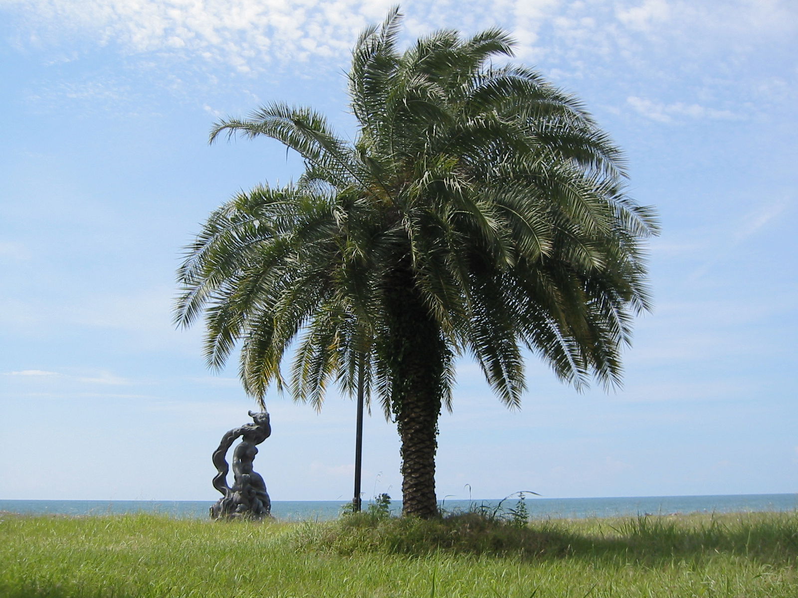 Pitsunda cape, Abkhazia. Pityus, a Greek colony and trade port …