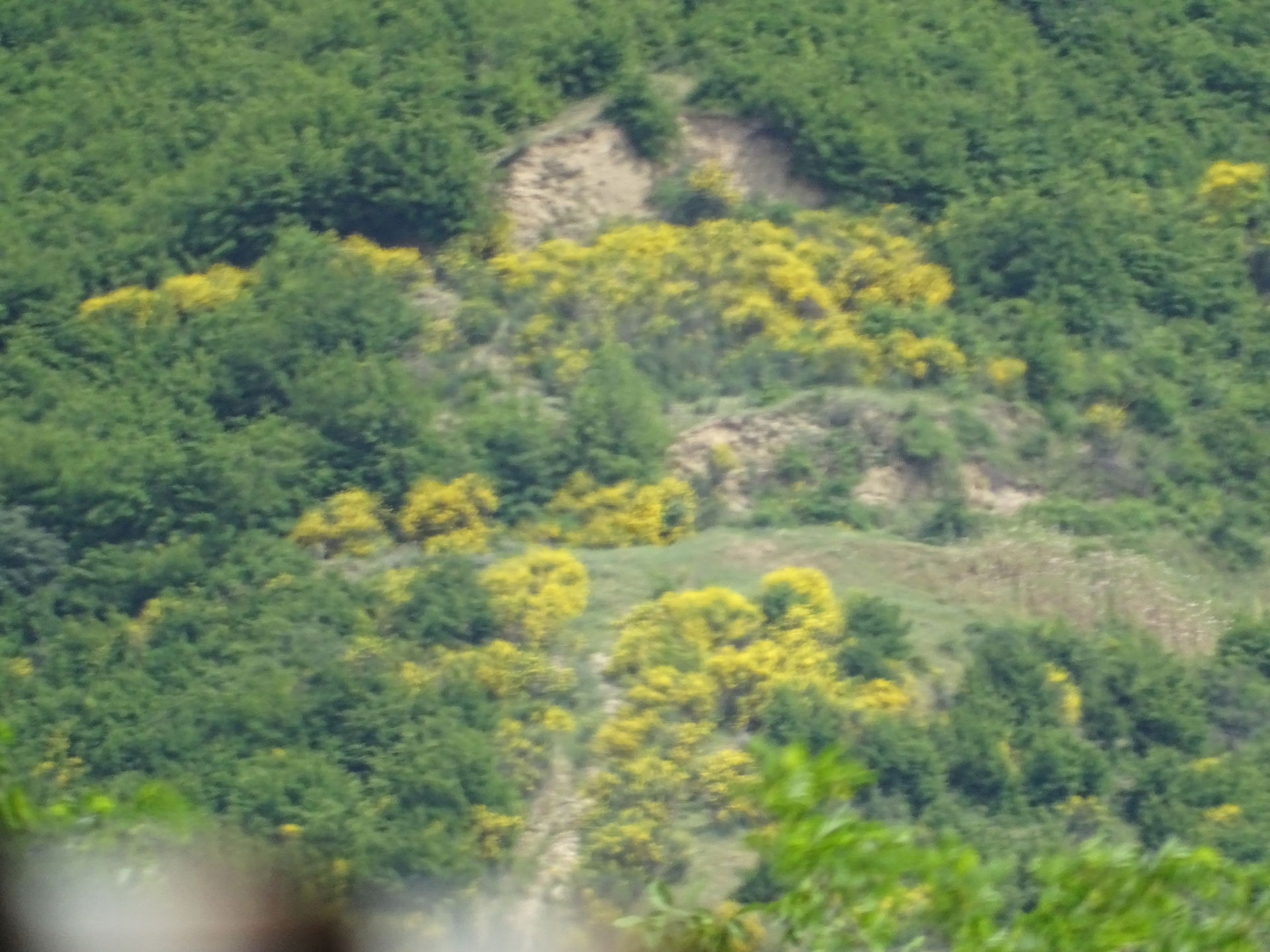 Sagarejo, Georgien