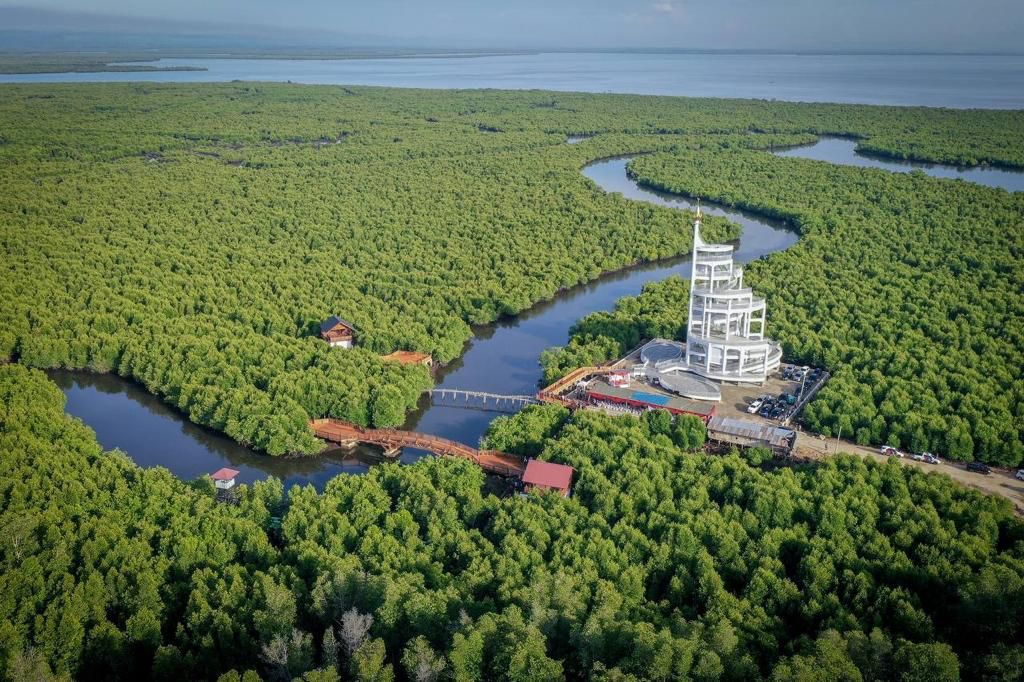 Mangrove in Langsa City, Aceh, Indonesia