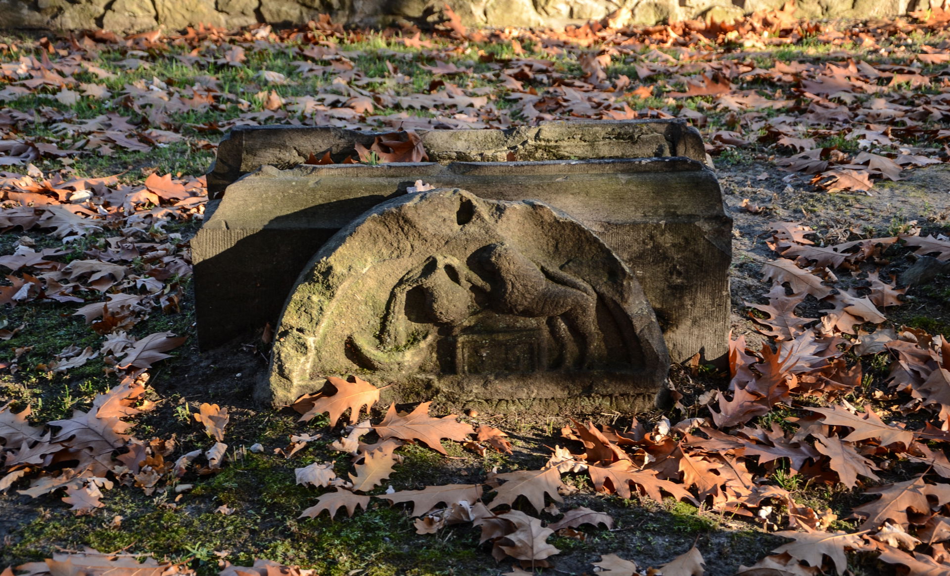 Jewish cemetery in Żory (Sohrau), Silesia