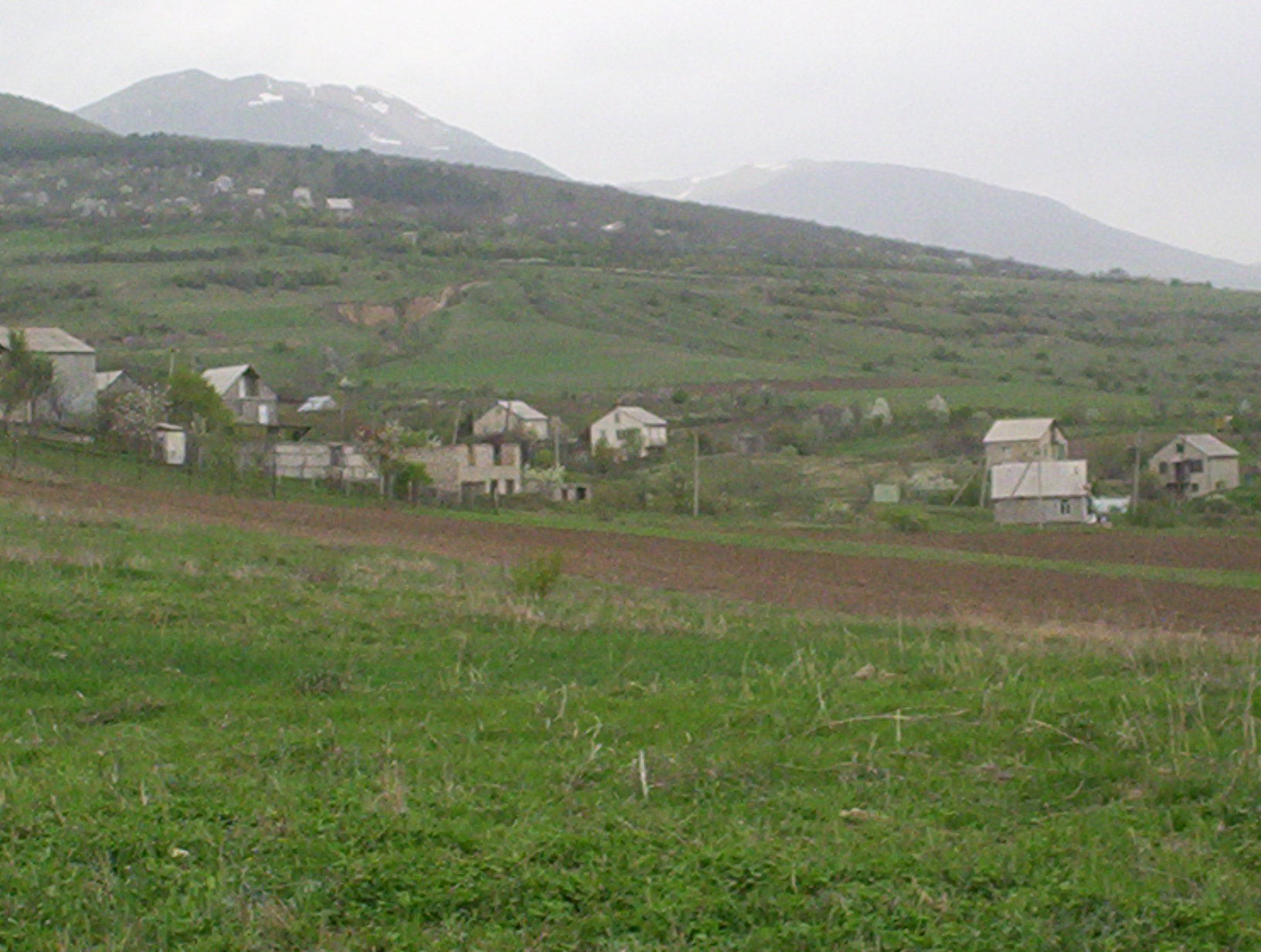 Trialeti