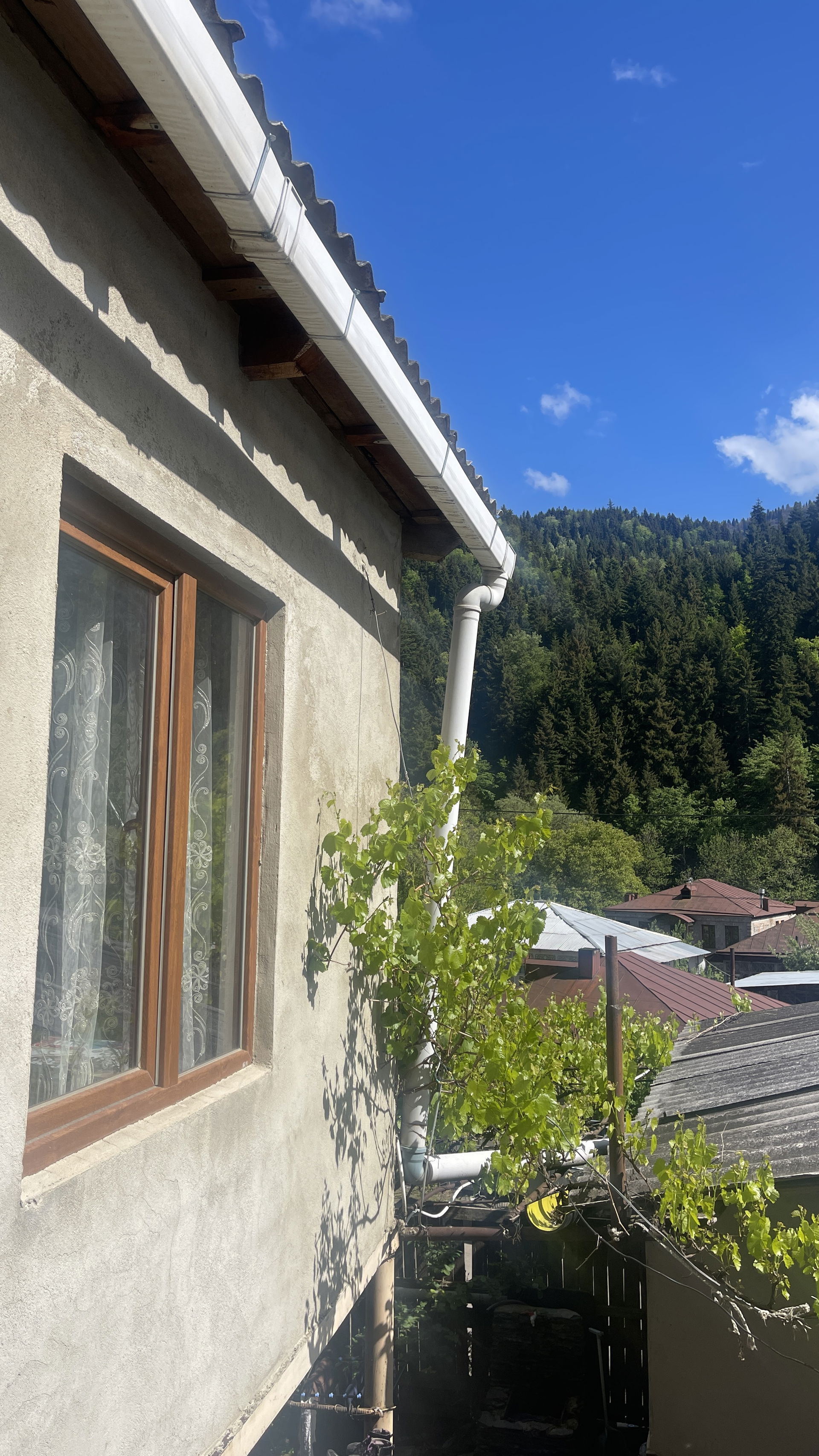 Tsagveri near window