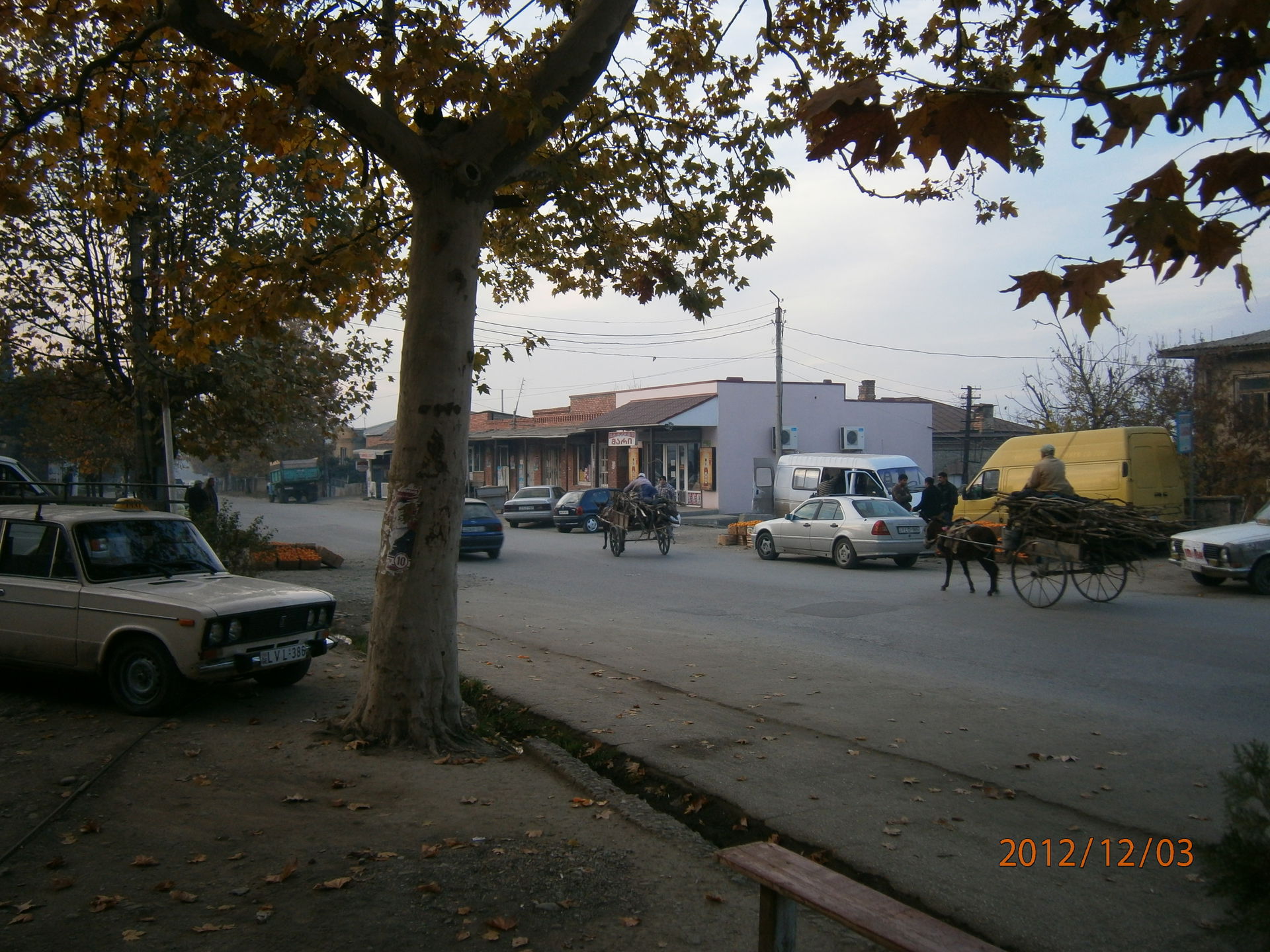 Tsnori