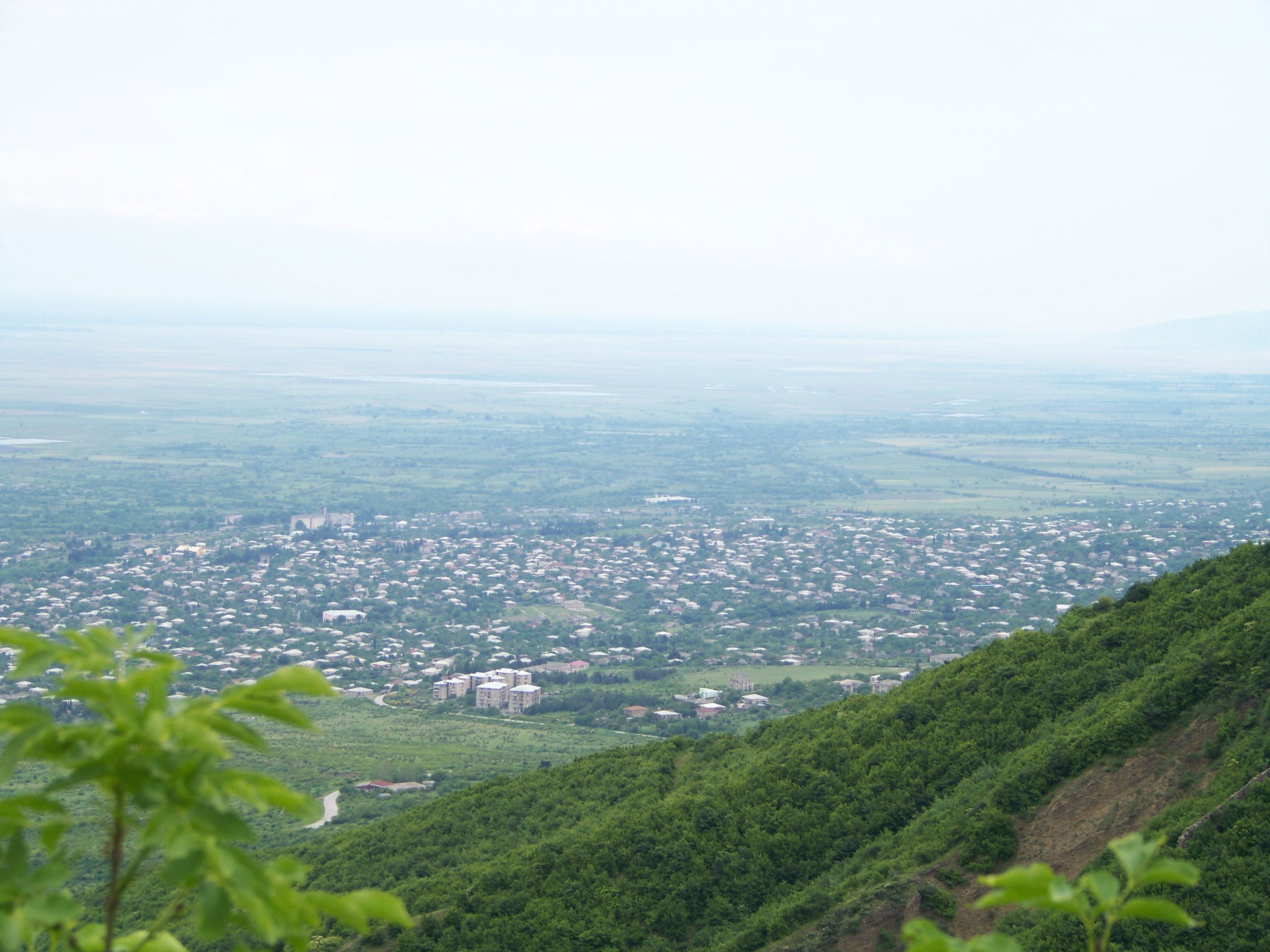 Tsnori