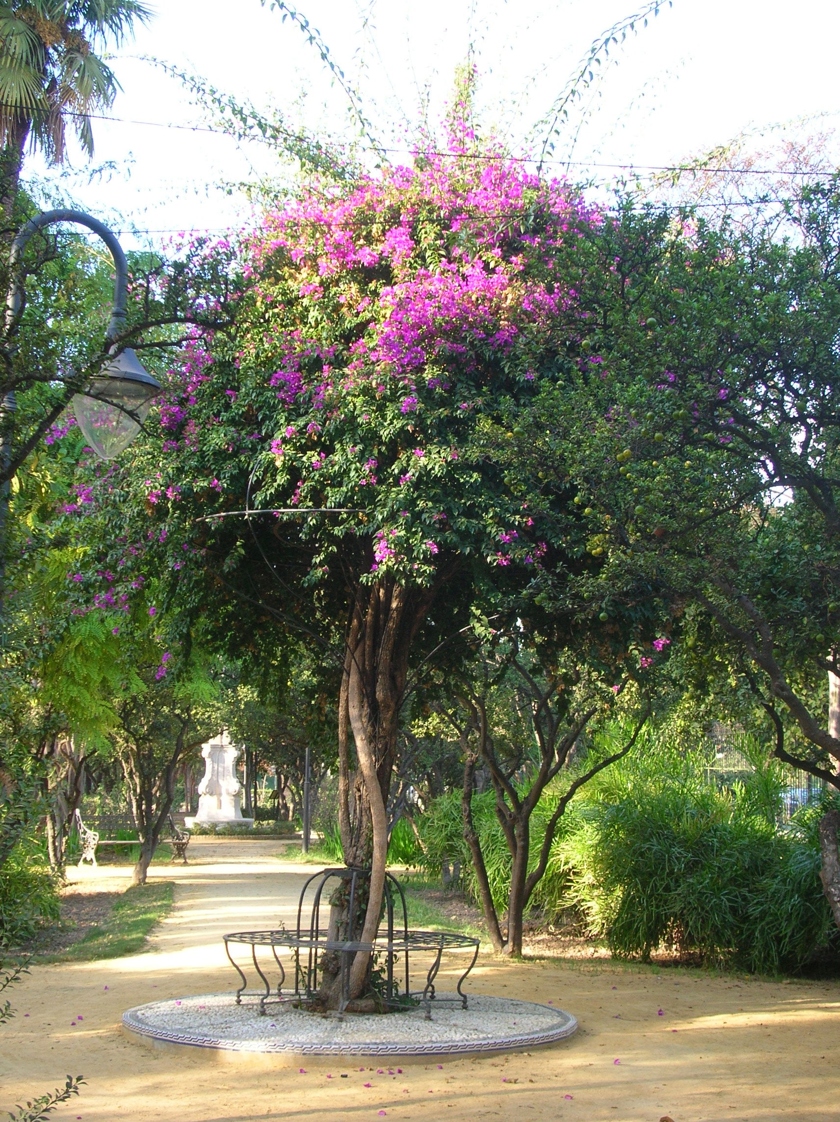 Jardins de las Delicias, Séville (Espagne)