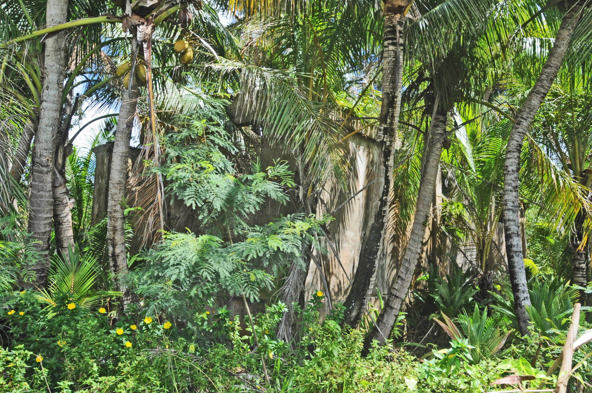 – BUILT IN 1943 BY CONSCRIPTED CHAMORRO LABOR; IT WAS DESIGNED …