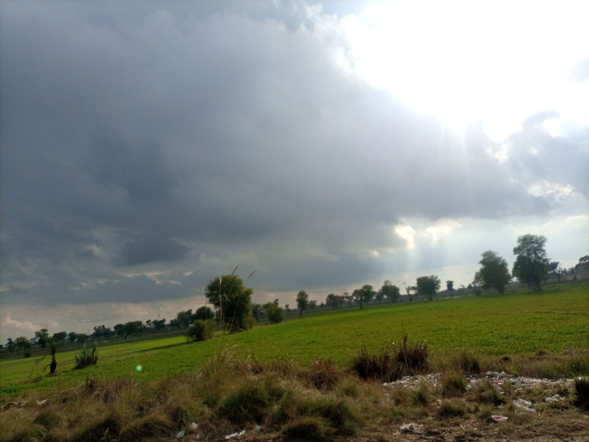 Zafar Abad Road, Dera Ismail Khan near Canal