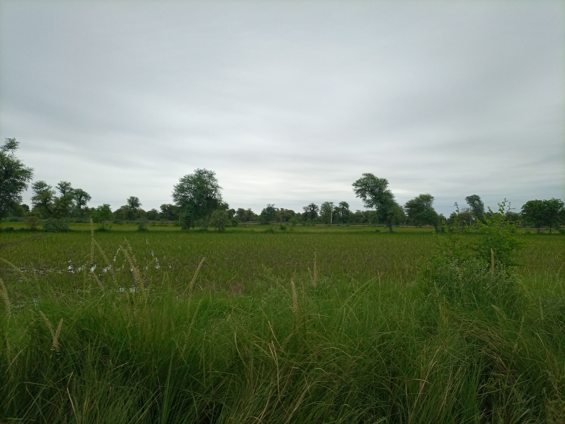 Zafar Abad Road Dera Ismail Khan during rain
