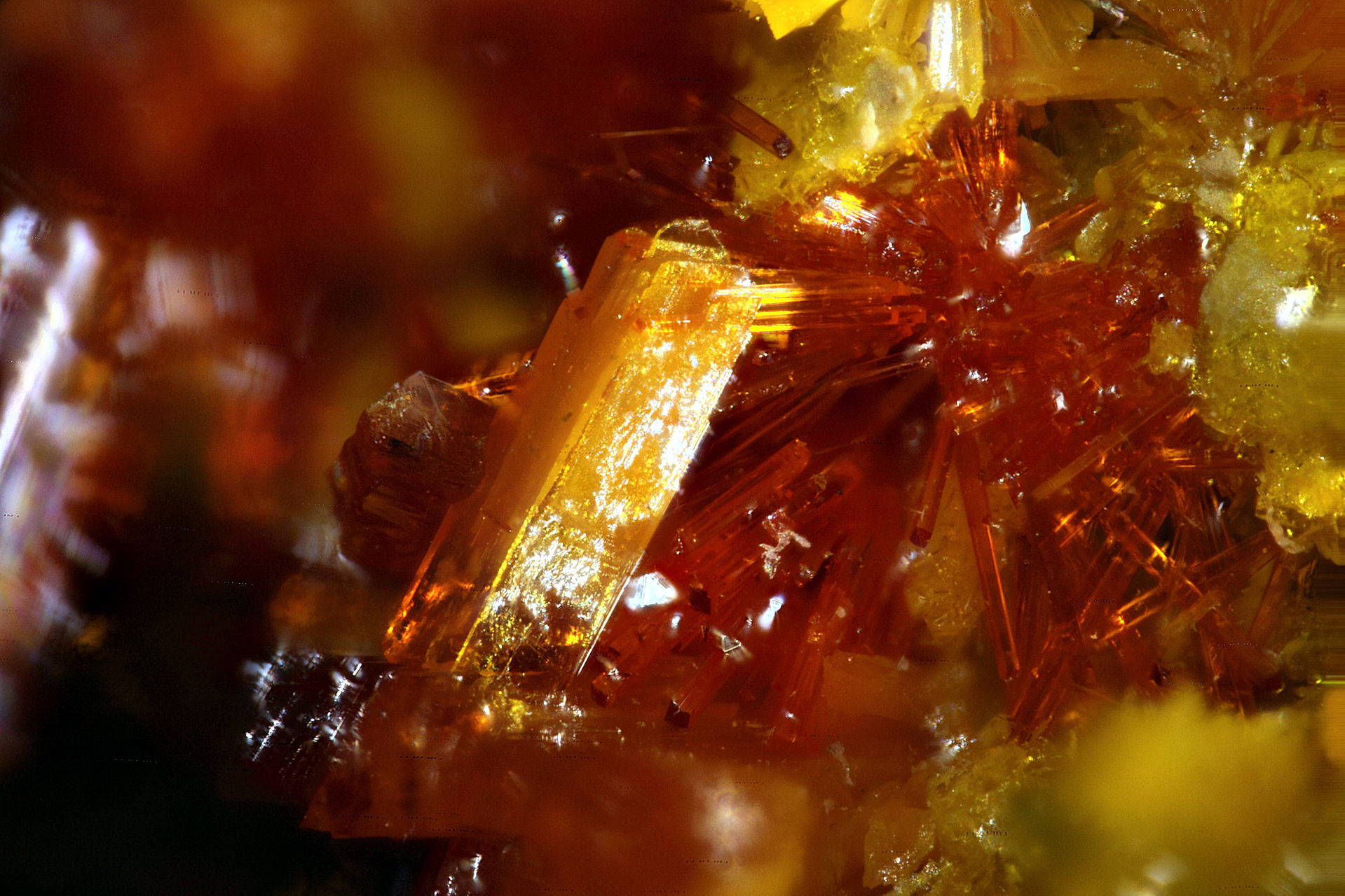 Single crystal of masuyite with red needles of curite from Shin…