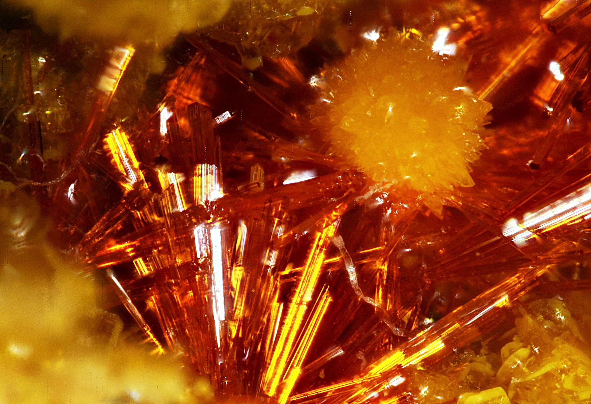 Needles of curite from Shinkolobwe, DRC (possibly with orange-y…