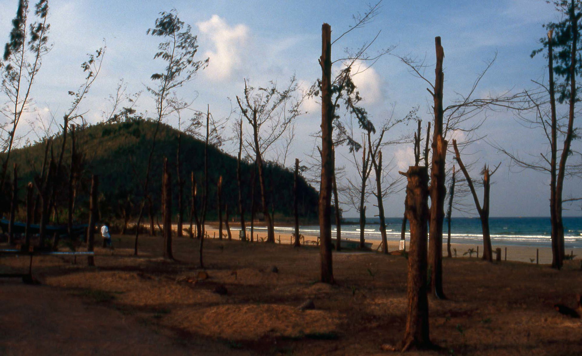 Damage of the typhoon Gay in November 1989 in the Thai province…