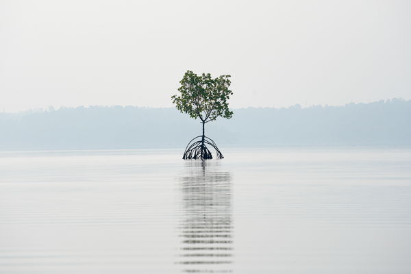 Kollam