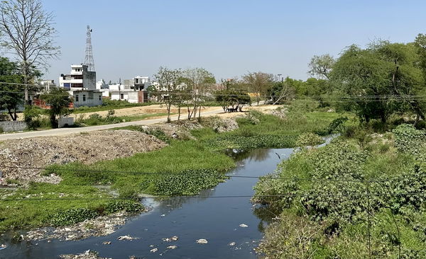 Meerut