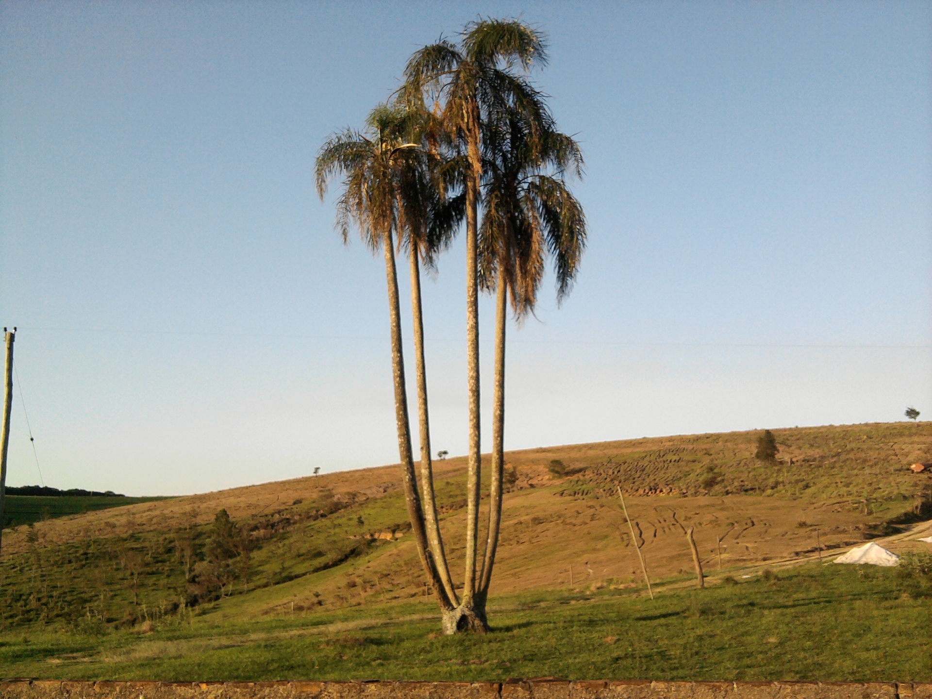 Itapeva - State of São Paulo, Brazil