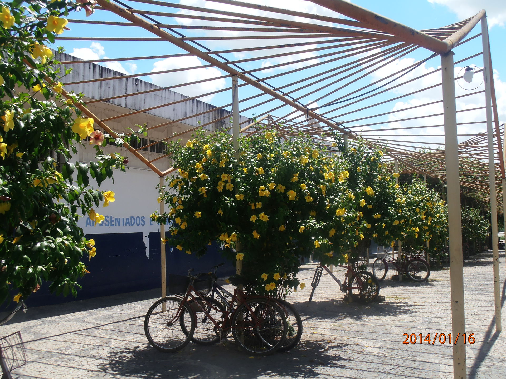 Pirapora MG Brasil - Calçadão