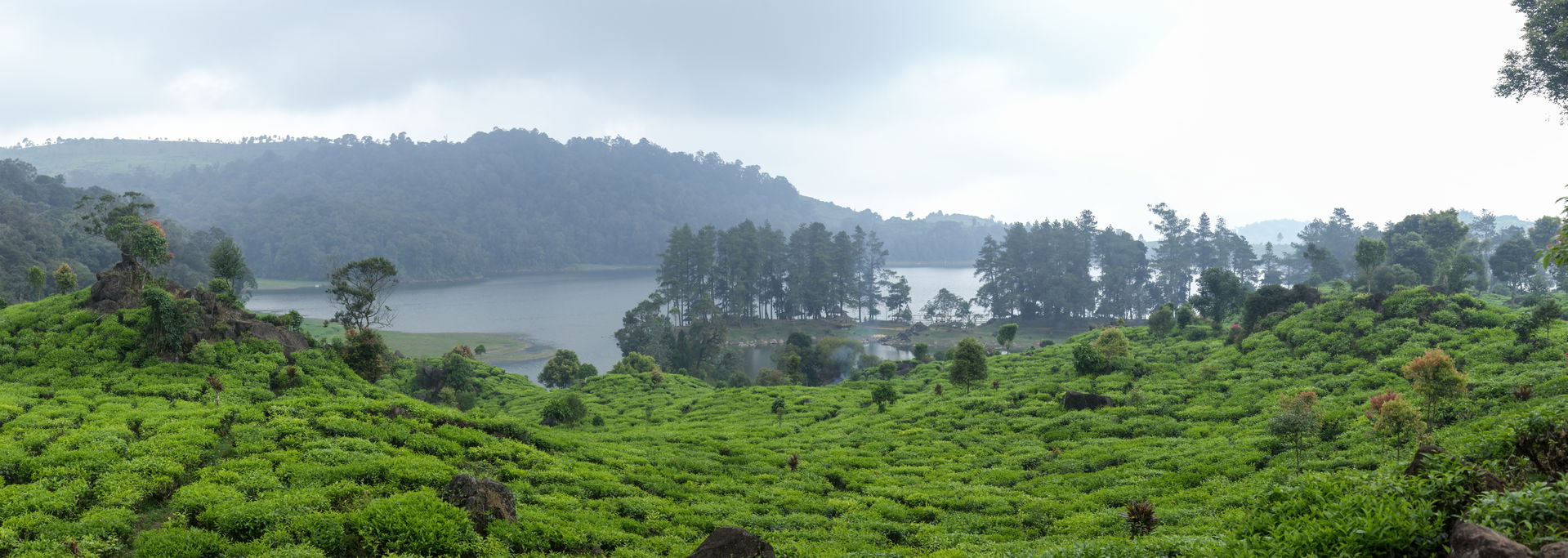 Panoramic view of Patenggang Lake, in Bandung Regency, 2014-08-…