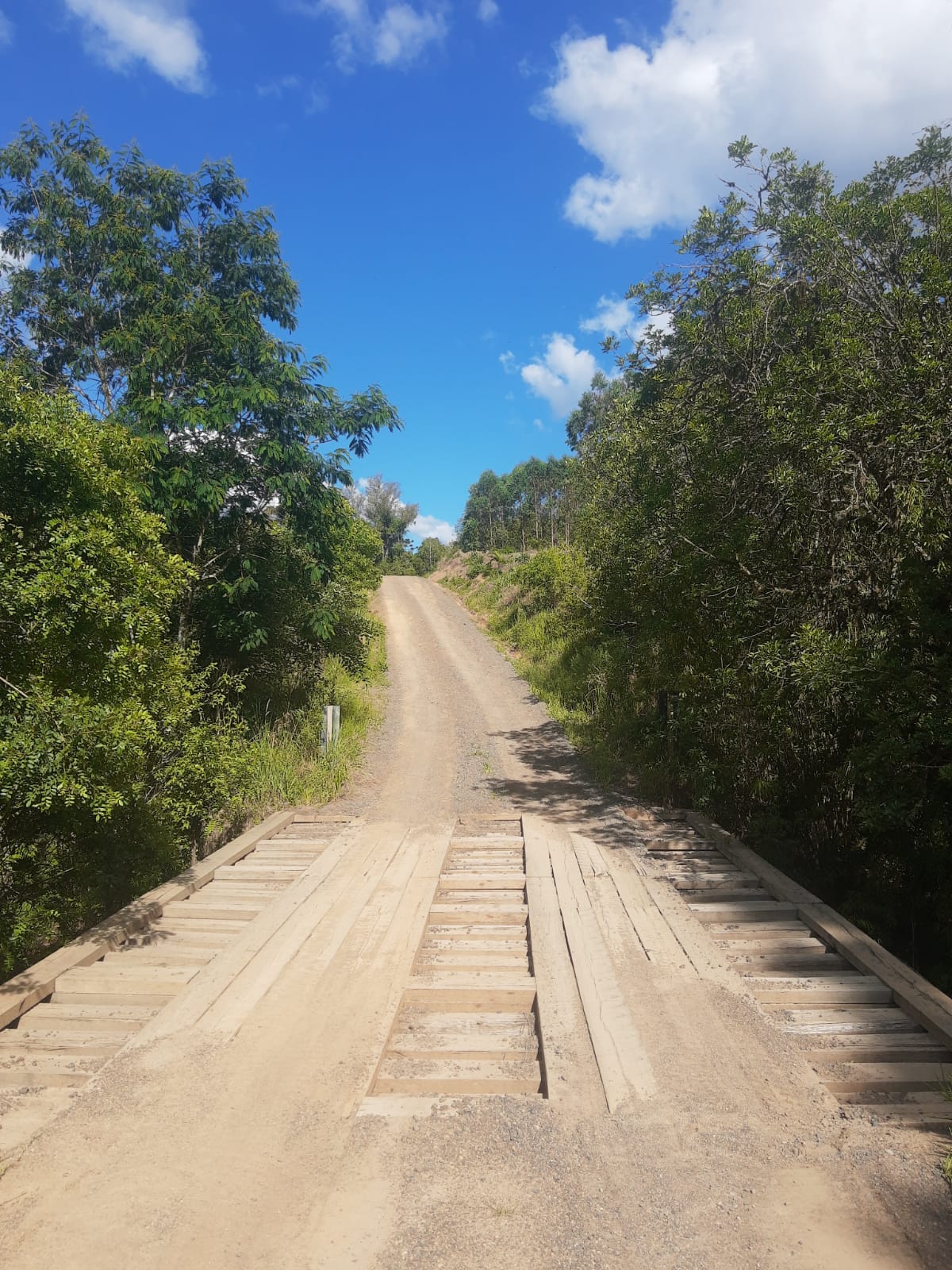 Fazenda Monte Alegre.
Município de Telêmaco Borba, Paraná, Bras…