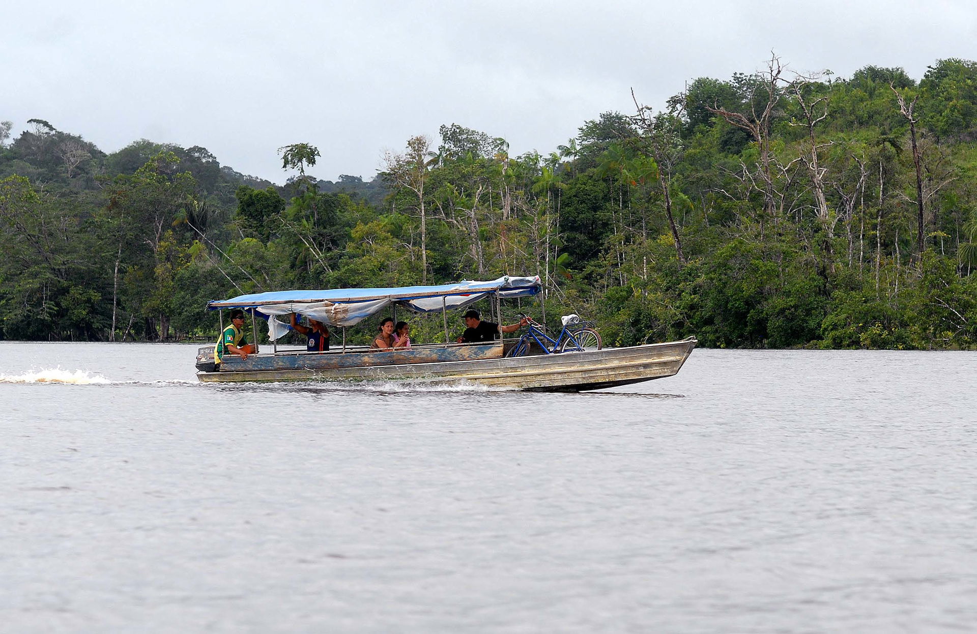 Voadeira (barco a motor)