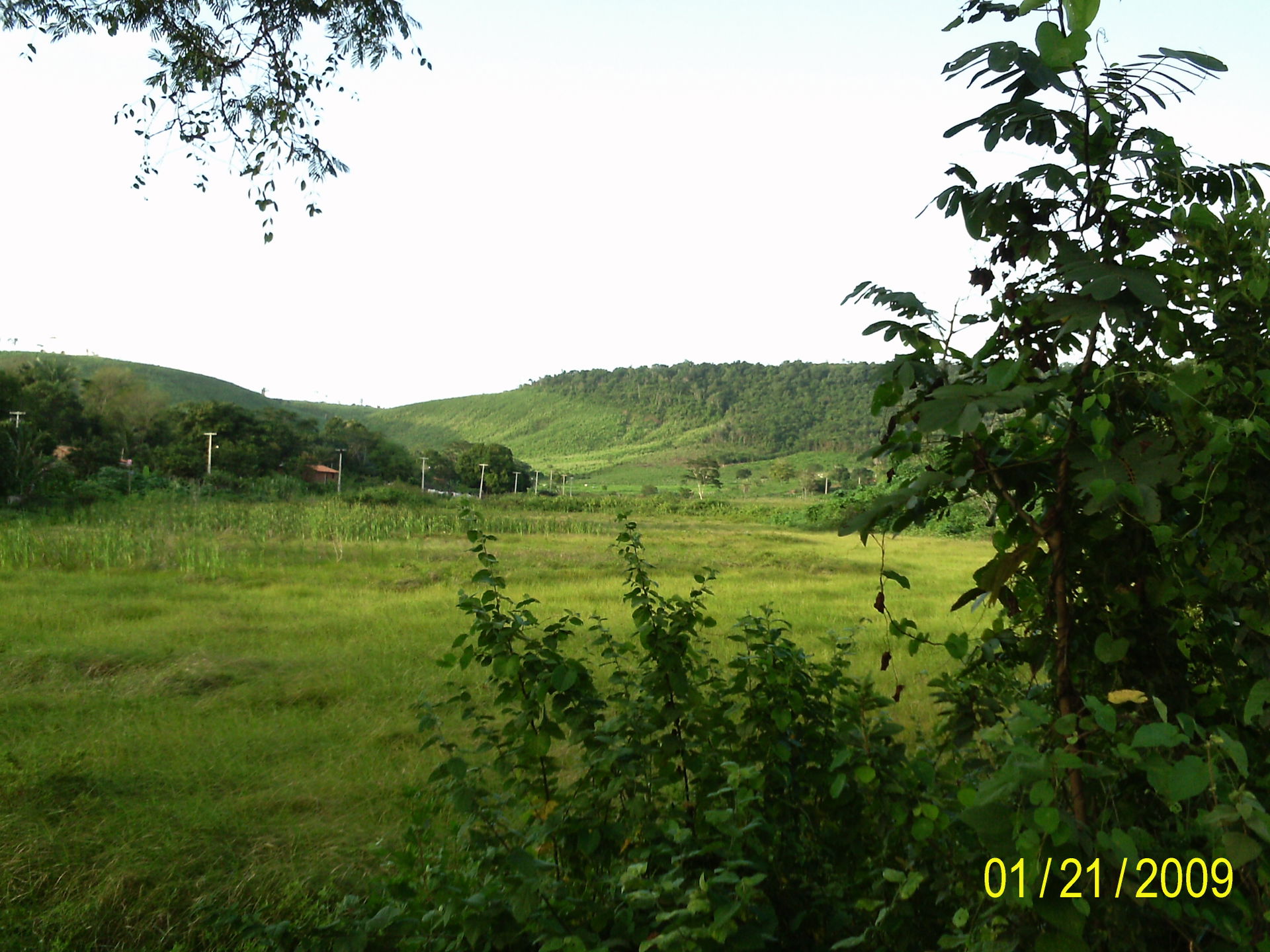 IMAGEM FEITA EM UM INTERIOR RURAL PRÓXIMO A BARRA DO CORDA /MA