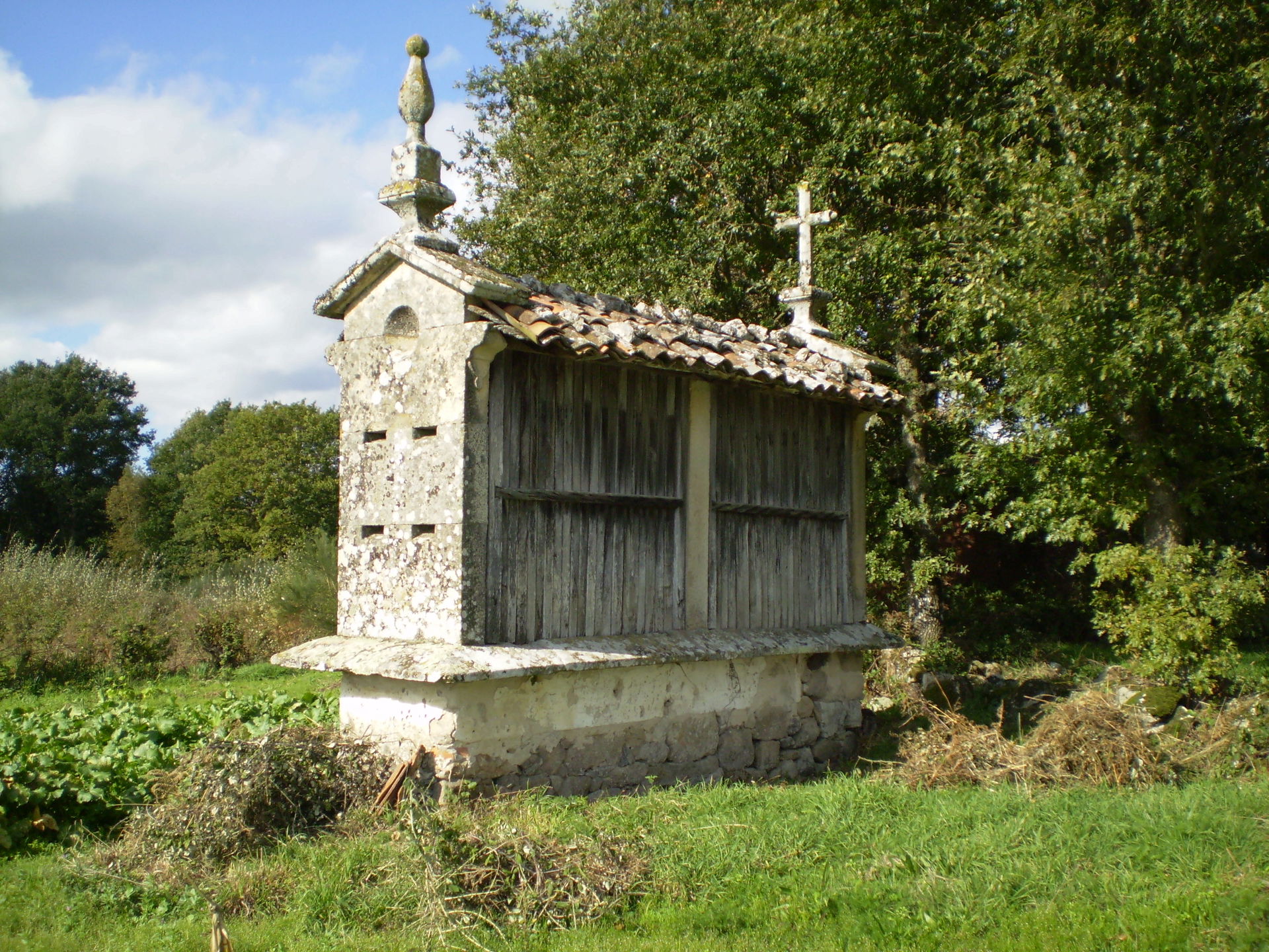 Hórreo en Dorra (Antas de Ulla)