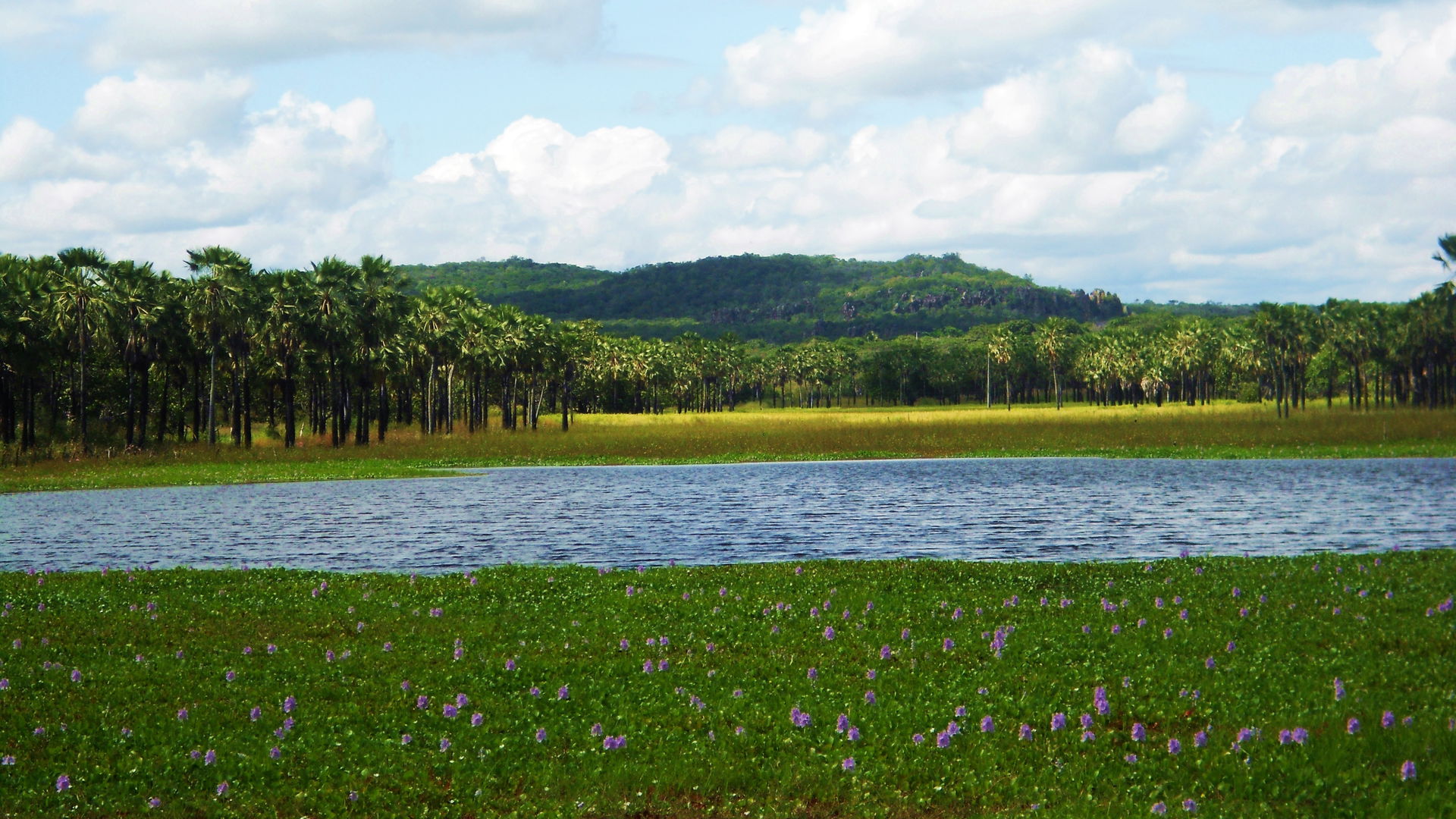 A Lagoa dos Bangües fica a 2,5 Km da sede do Município de Inhum…