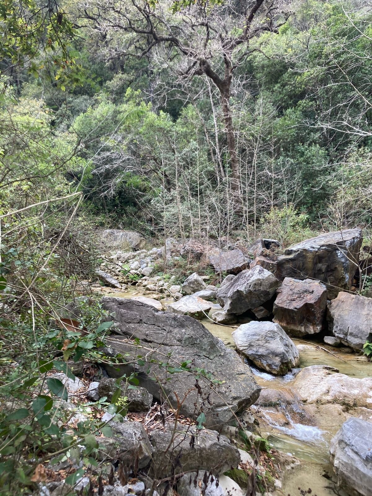 Lugar natural en Montemorelos, Nuevo León, México