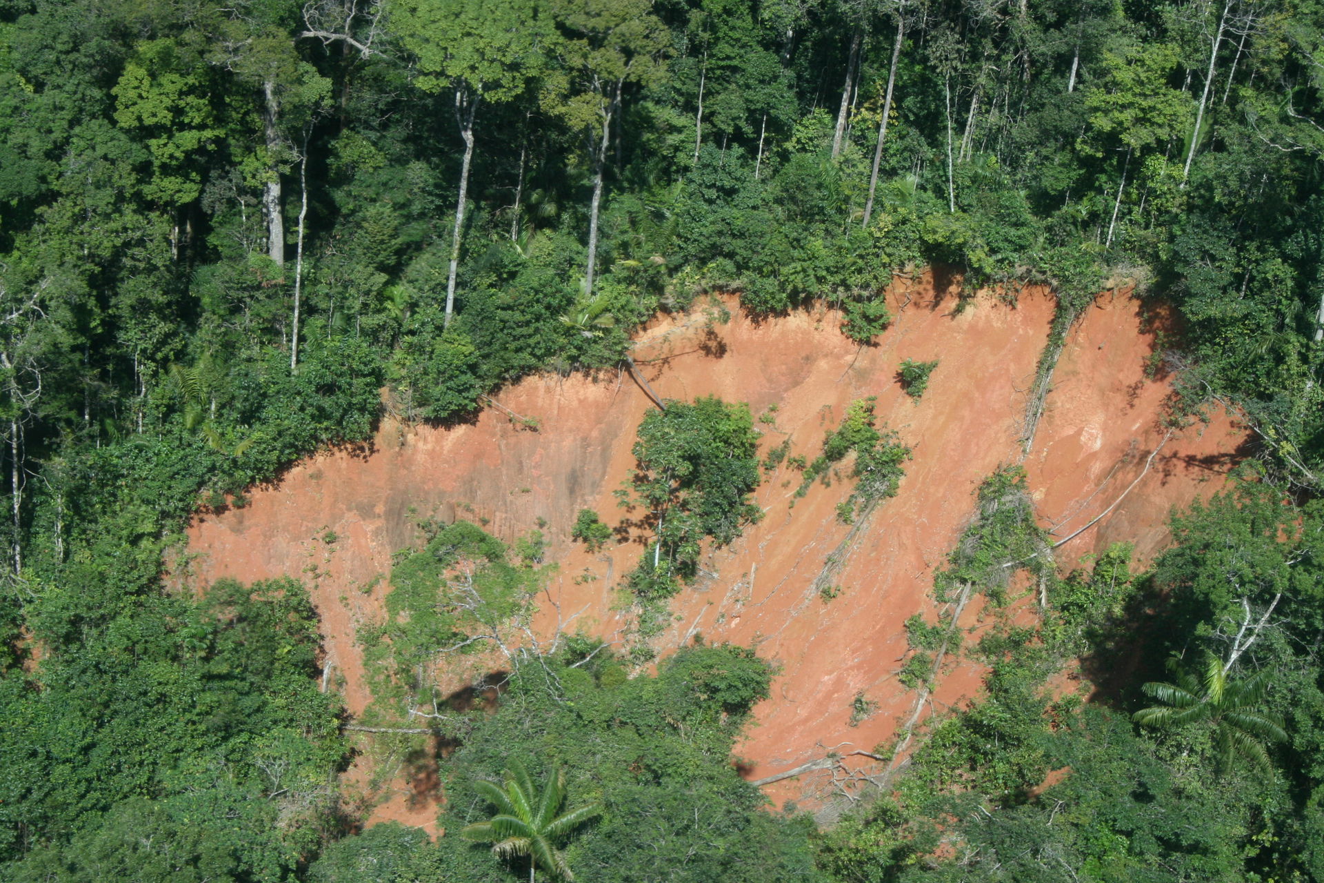 Oriximiná - State of Pará, Brazil