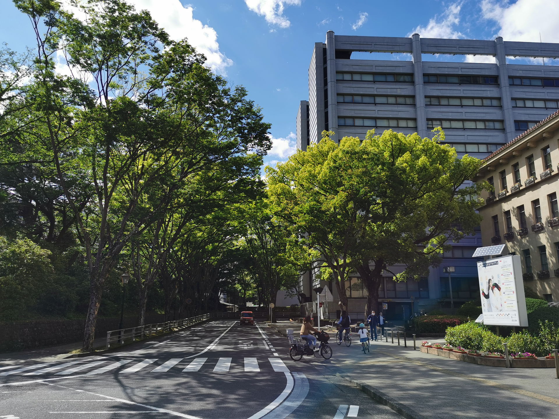 静岡市葵区追手町静岡県庁と駿府城外堀内側