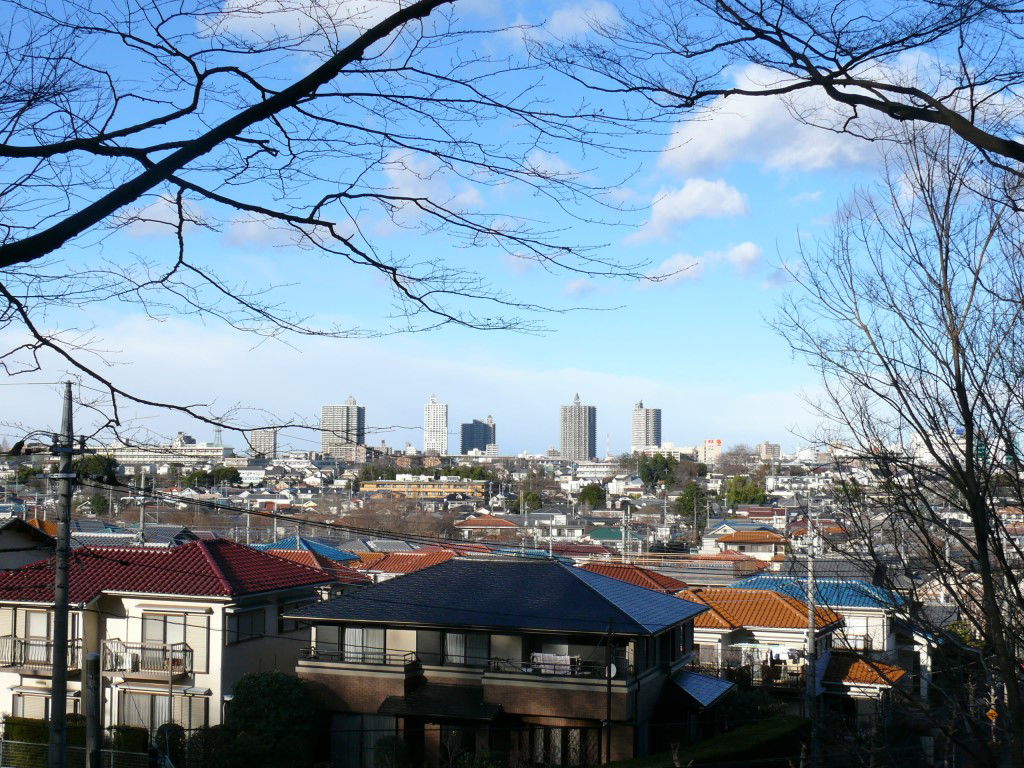 Central Tokorozawa, Saitama from Hachikokuyama.