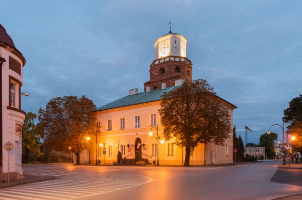 Wieluń
