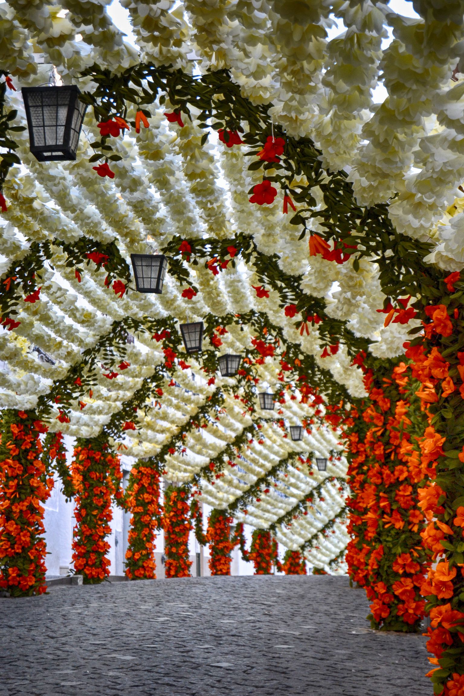 During the Campo Maior festivities the streets are adorned with…