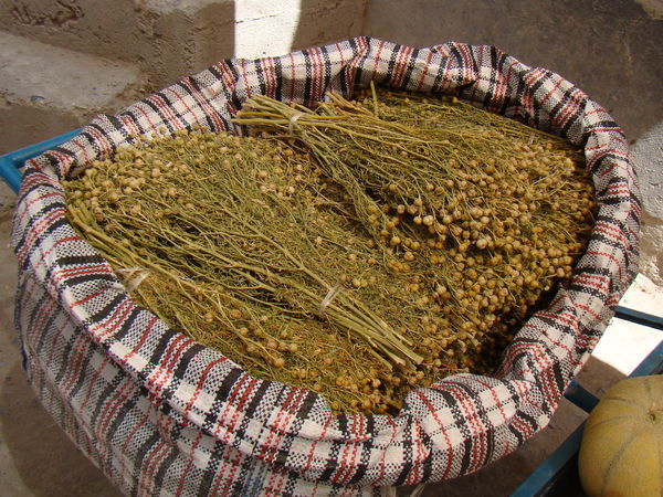 Kentau