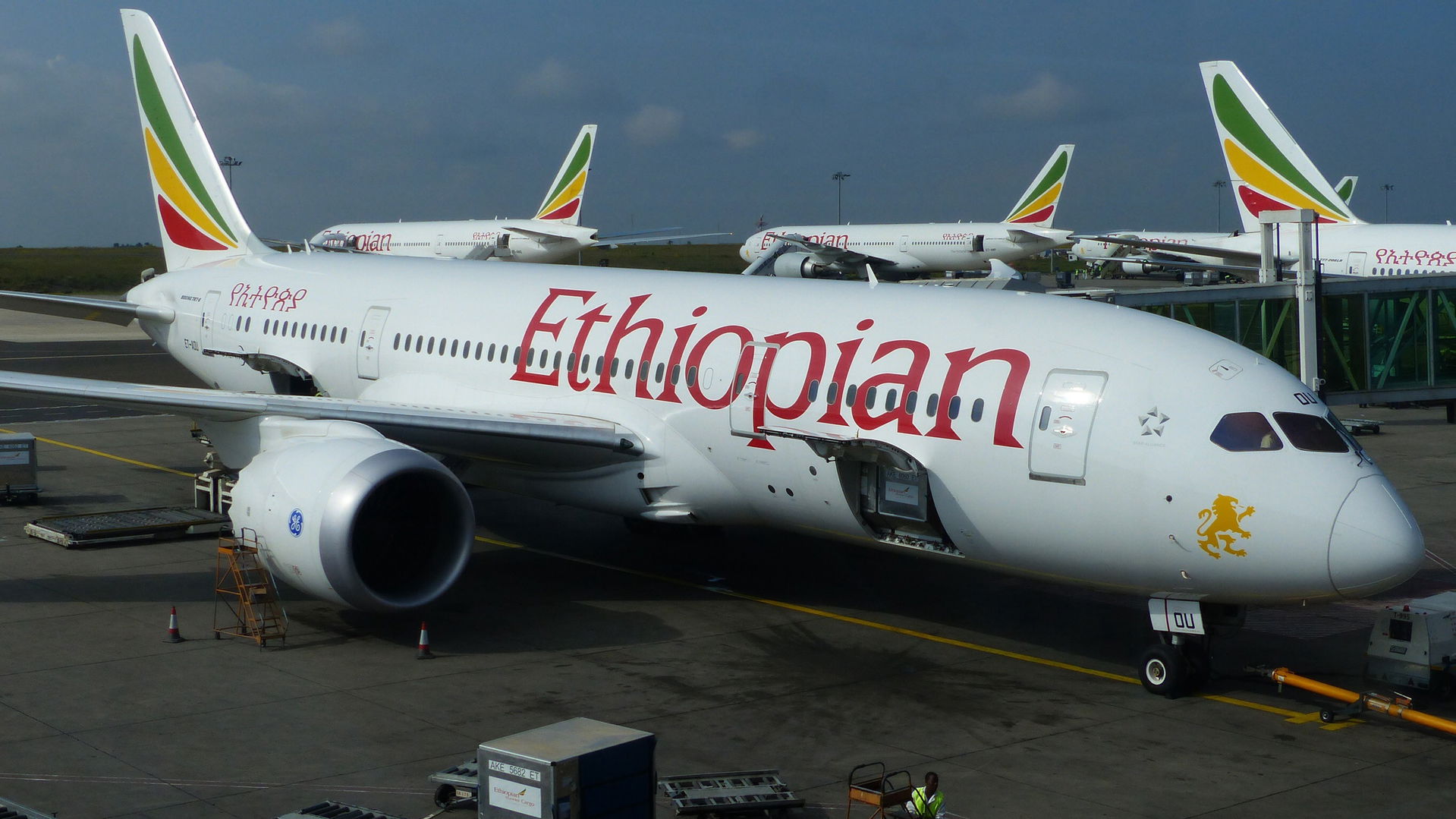 ET-AOU Boeing B.788 Ethiopian at Bole International Airport