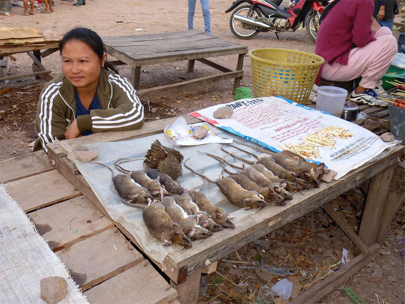 Market in Ban Nahin, Khammouane Province, Laos.