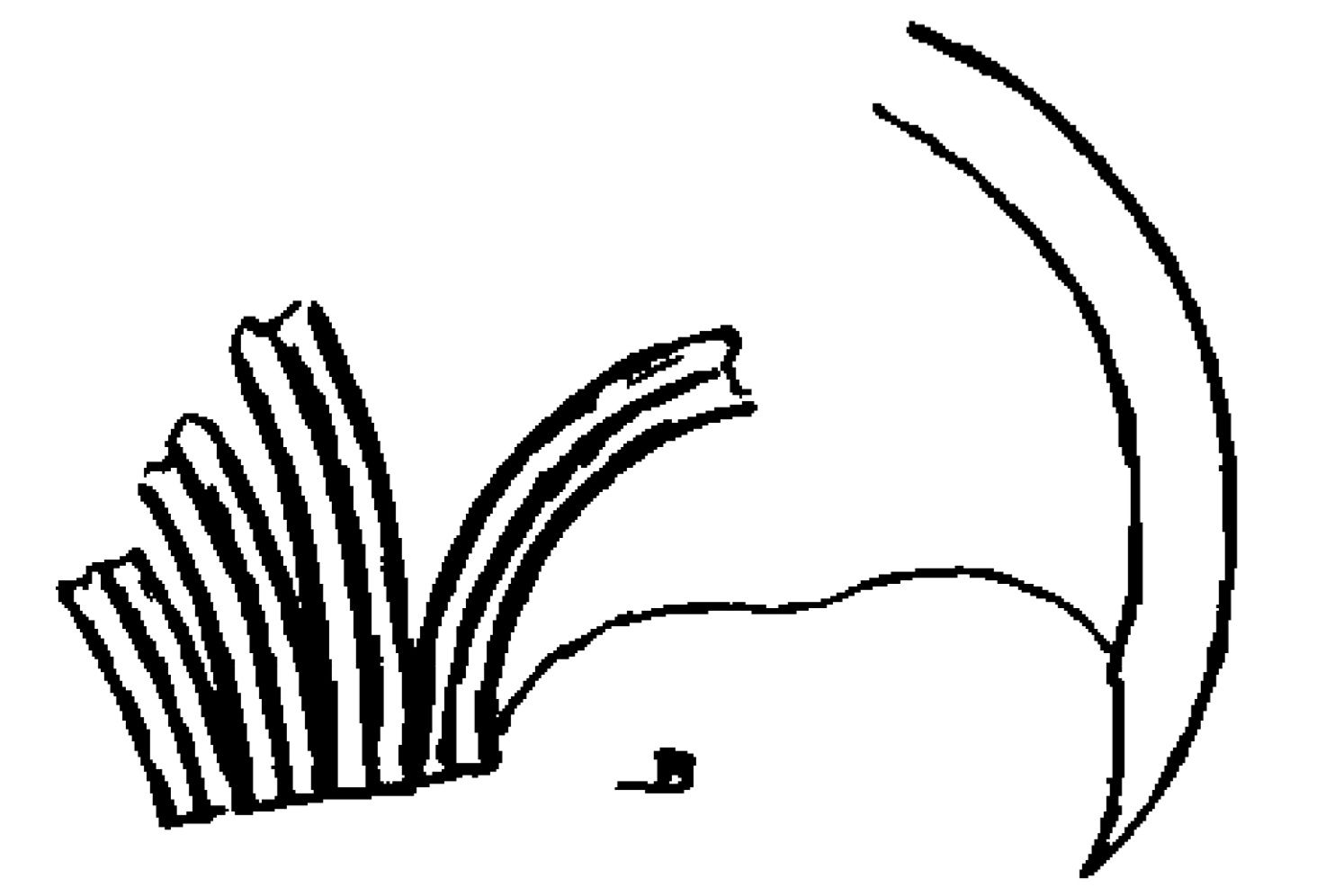 Illustration of the teeth of the fossil springhare Pedetes grac…