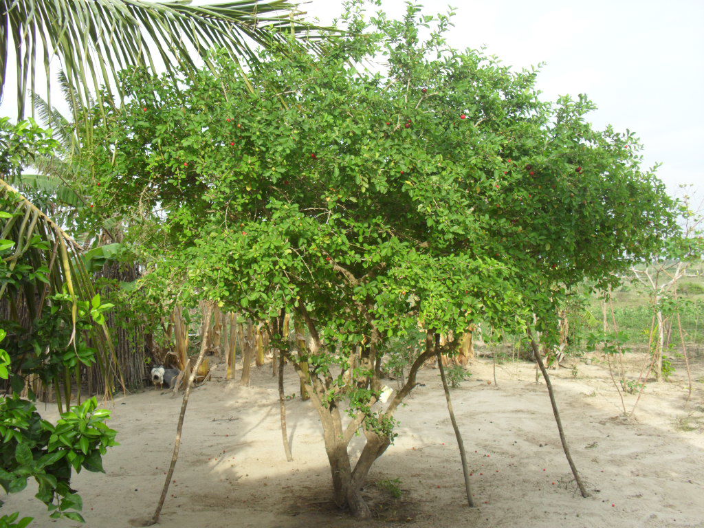 Sítio Lagoa Verde, Nova Cruz, RN