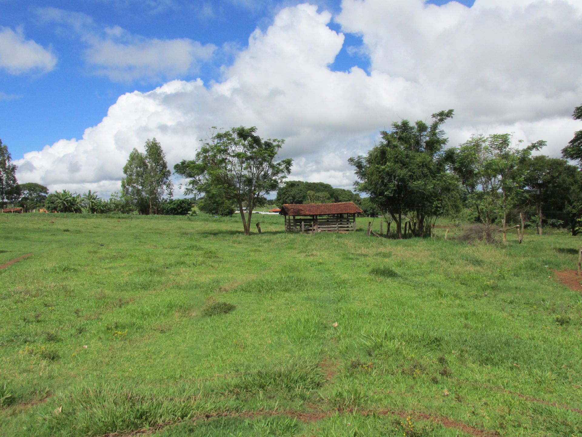 Itaberaí - State of Goiás, Brazil