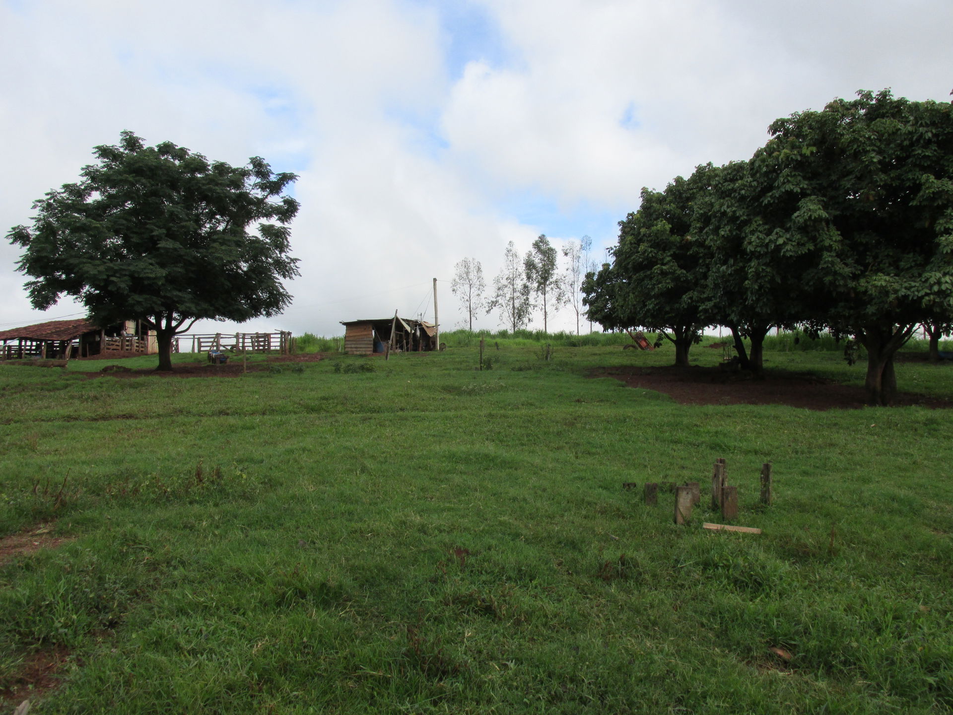 Itaberaí - State of Goiás, Brazil