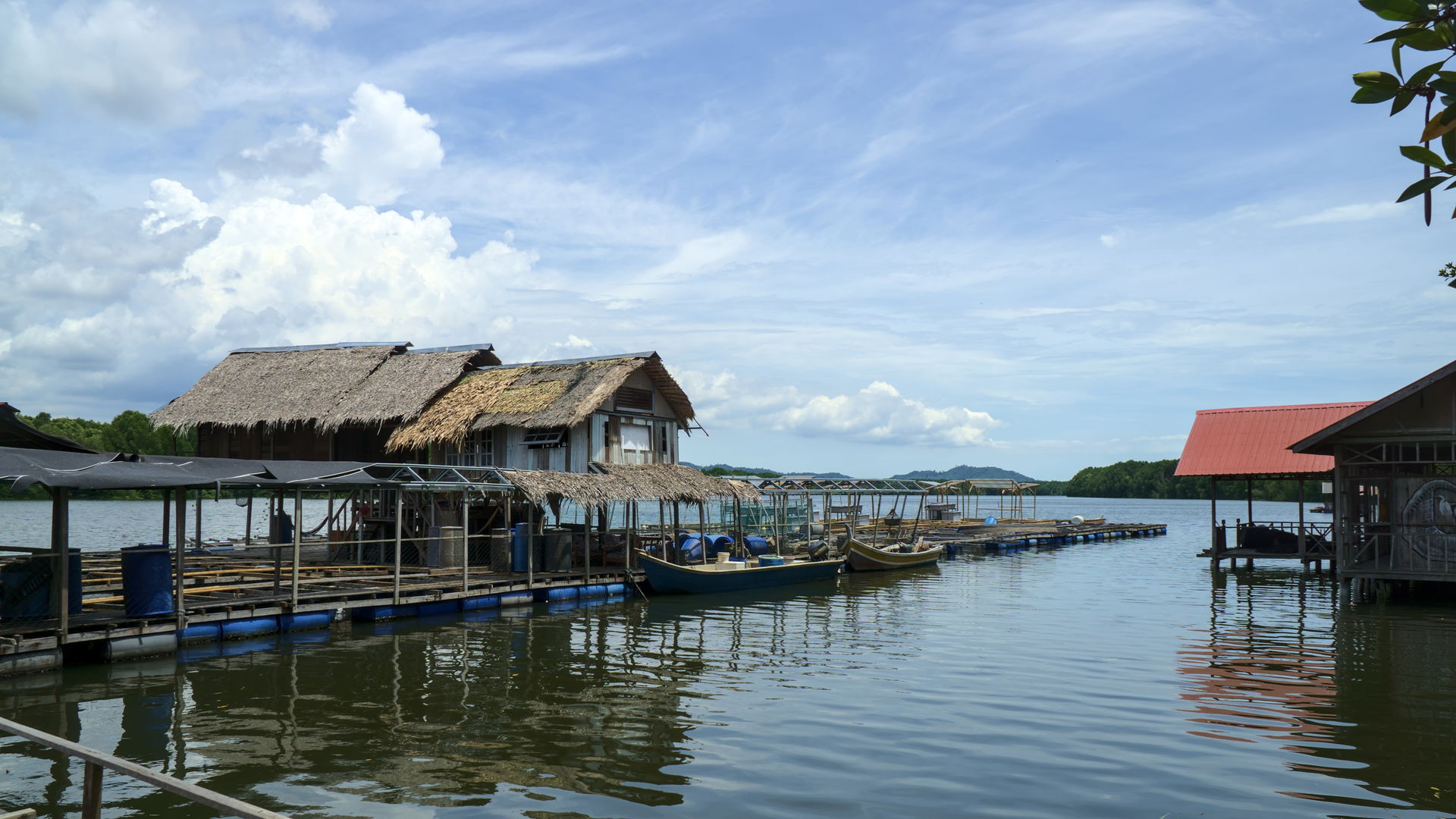 A Malaysian oyster farm located at Bakau Hijau, Sungai Merbok. …