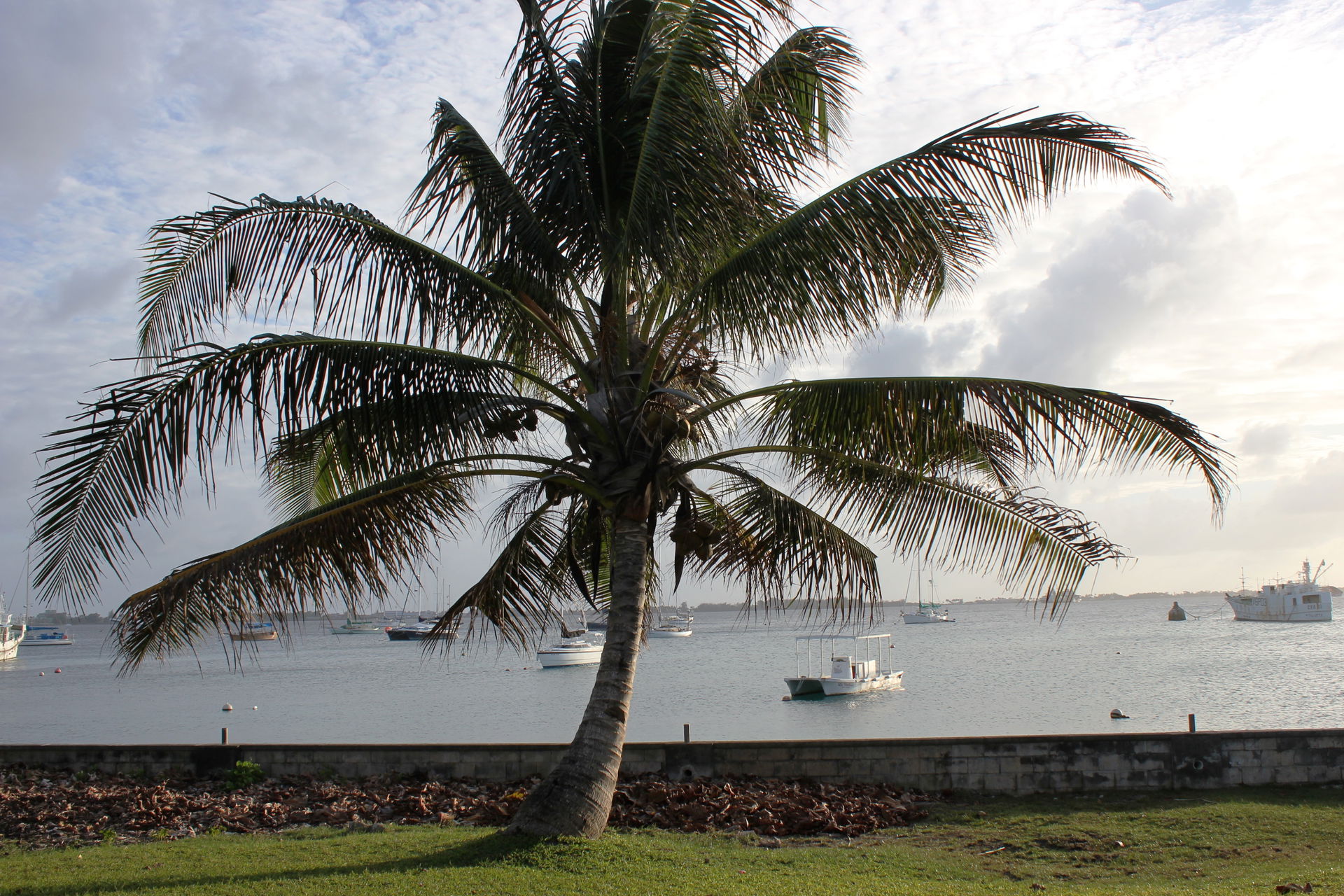 Landscape, Majuro, Marshall Islands, February 2012. Photo: Erin…