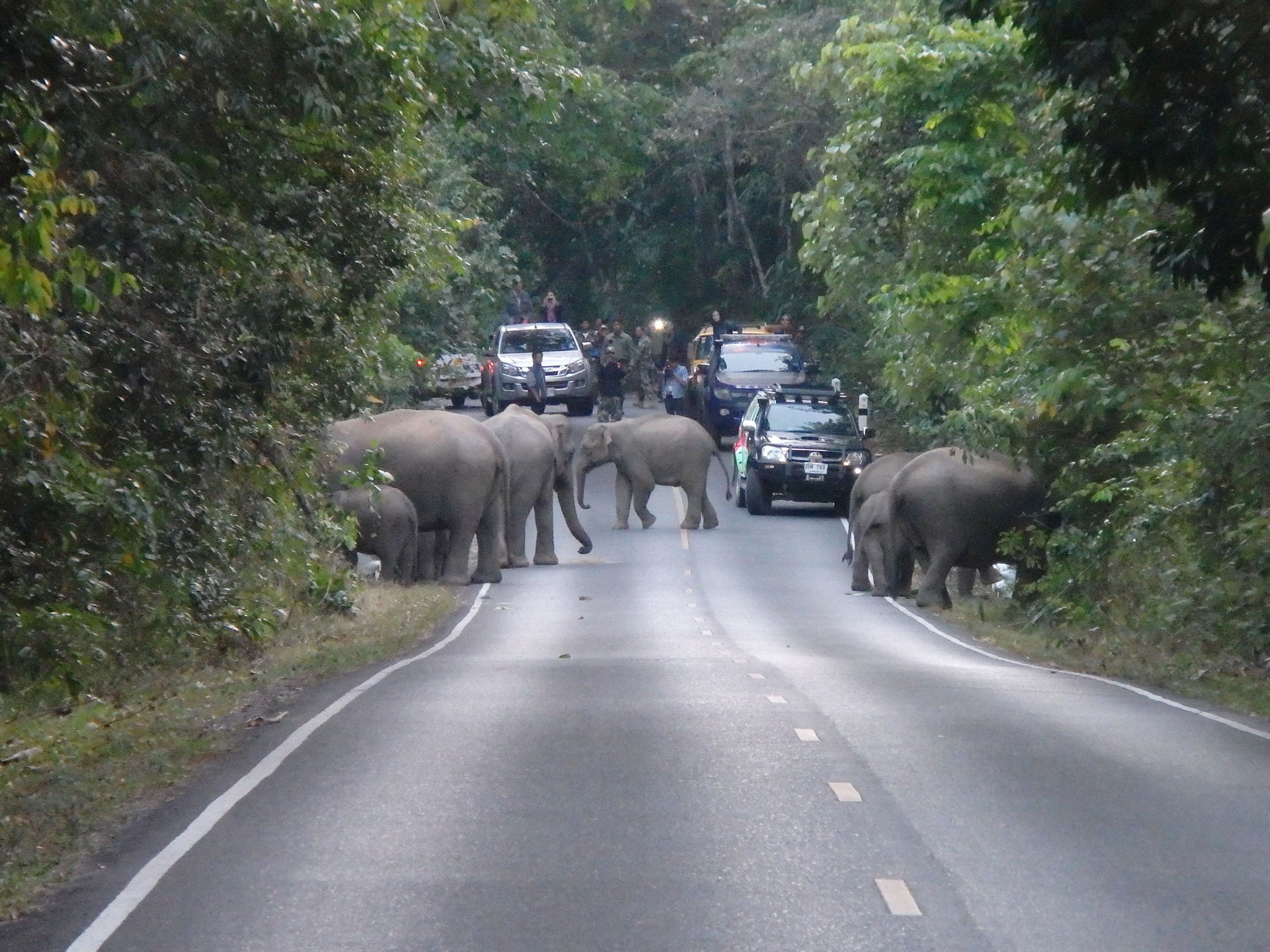 Hin Tung, Mueang Nakhon Nayok District, Nakhon Nayok 26000, Tha…
