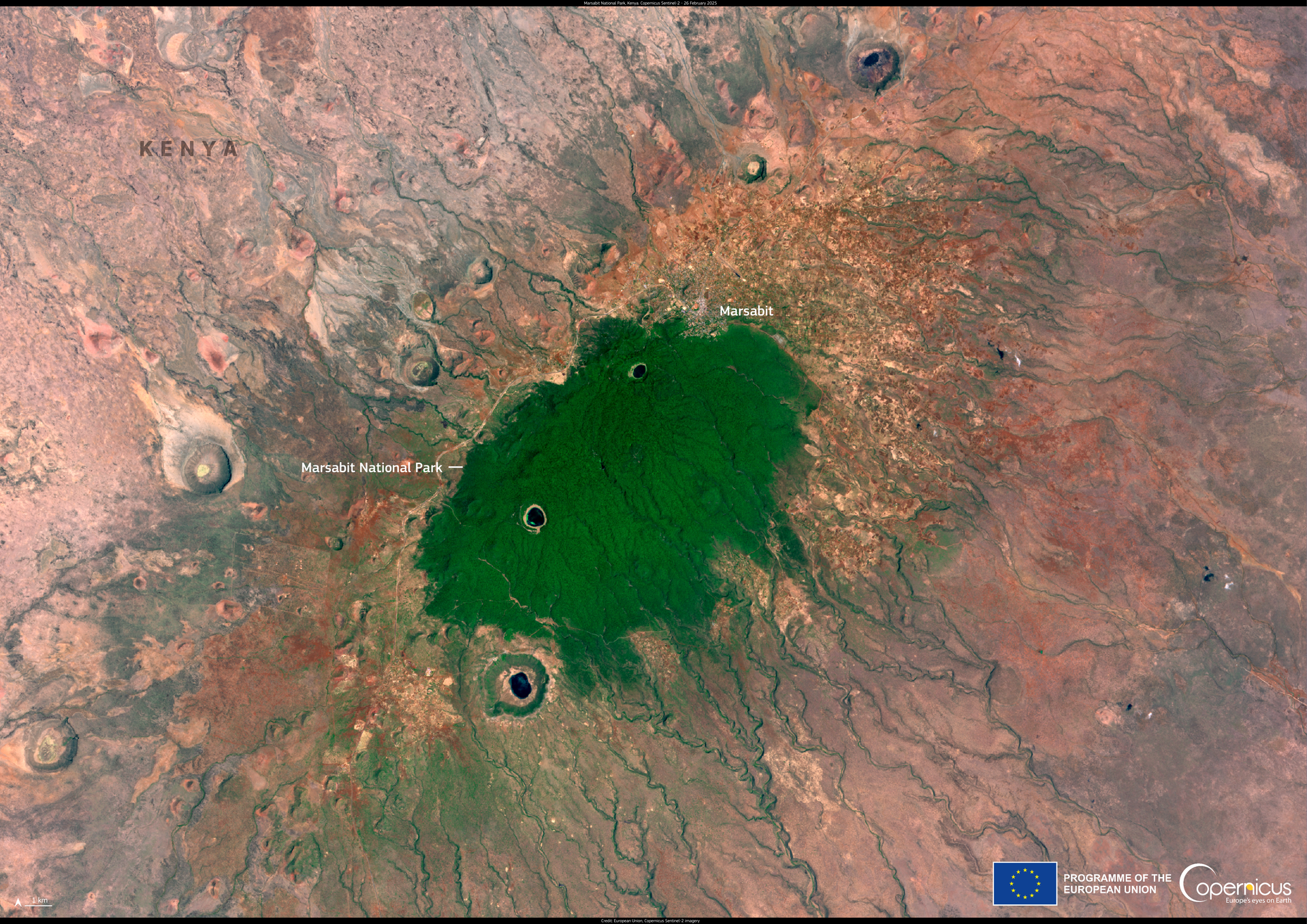 The Marsabit National Park is a remarkable oasis of biodiversit…