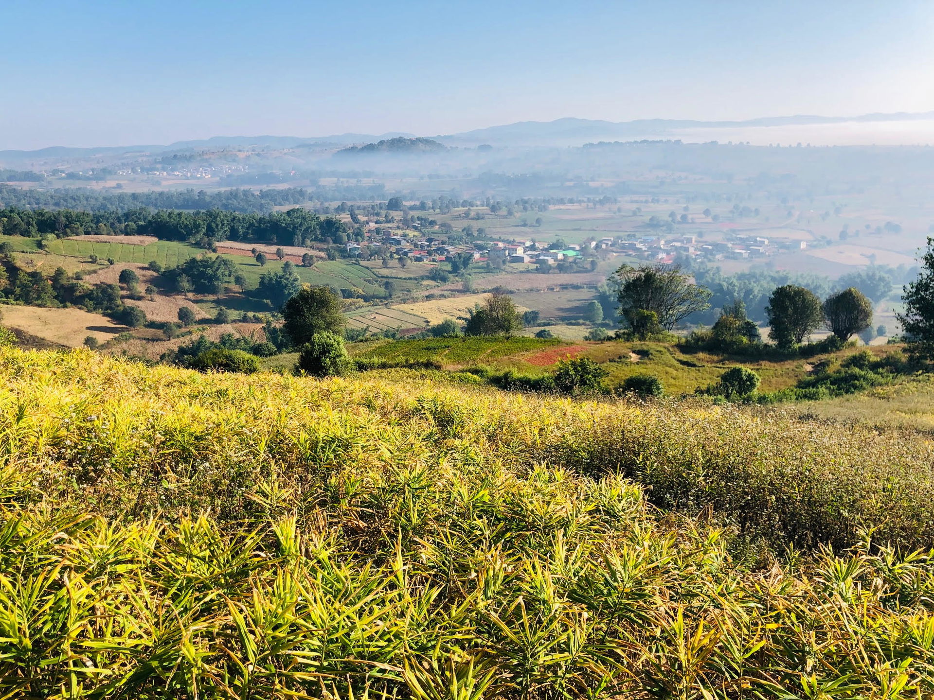 Kalaw