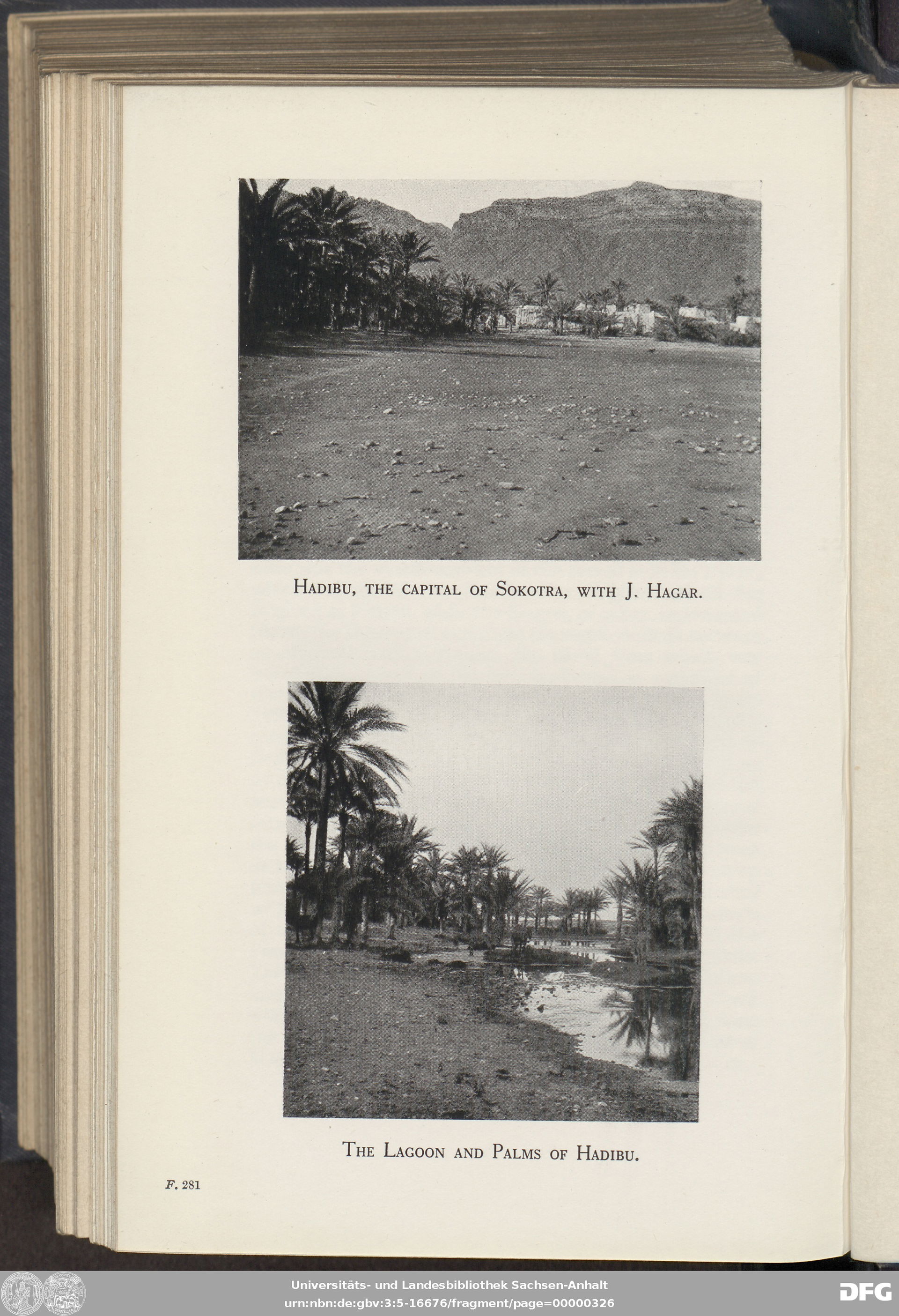 Hadibu, the capital of Sokotra, with J. Hagar. Lagoon and palms…