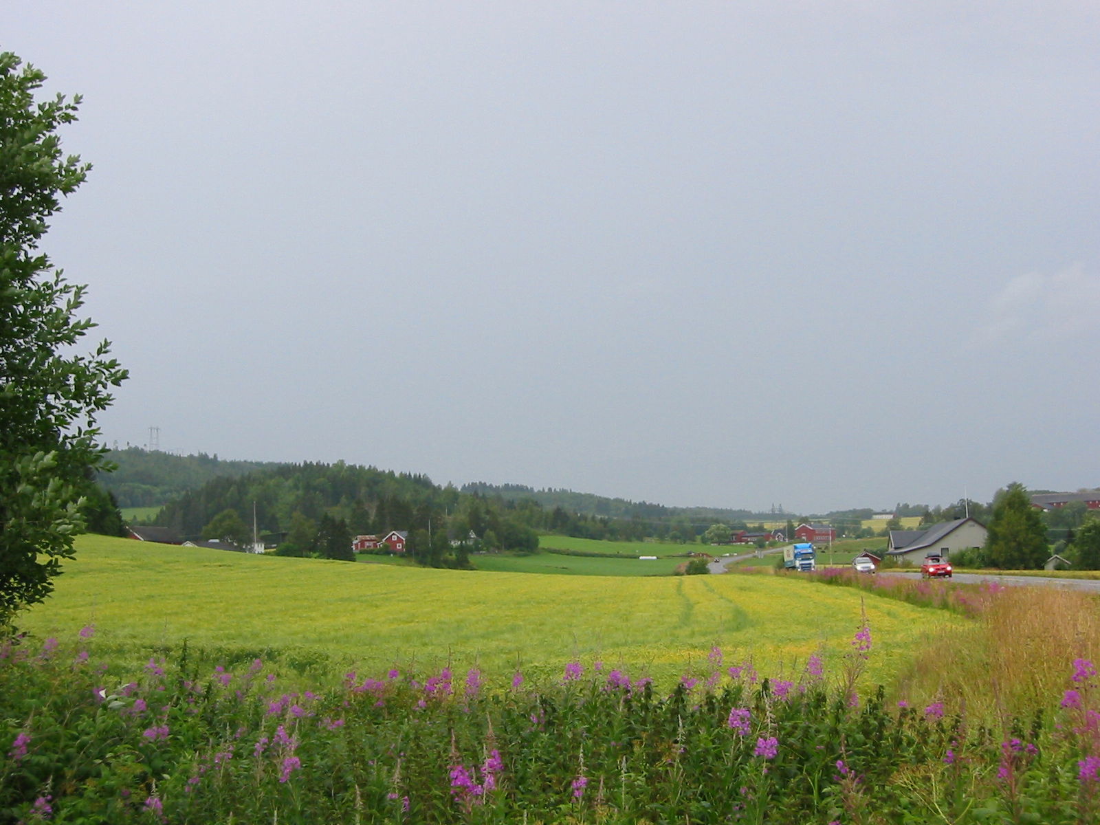 Grainfield near the E6 highway, Følling north of Steinkjer, Ste…