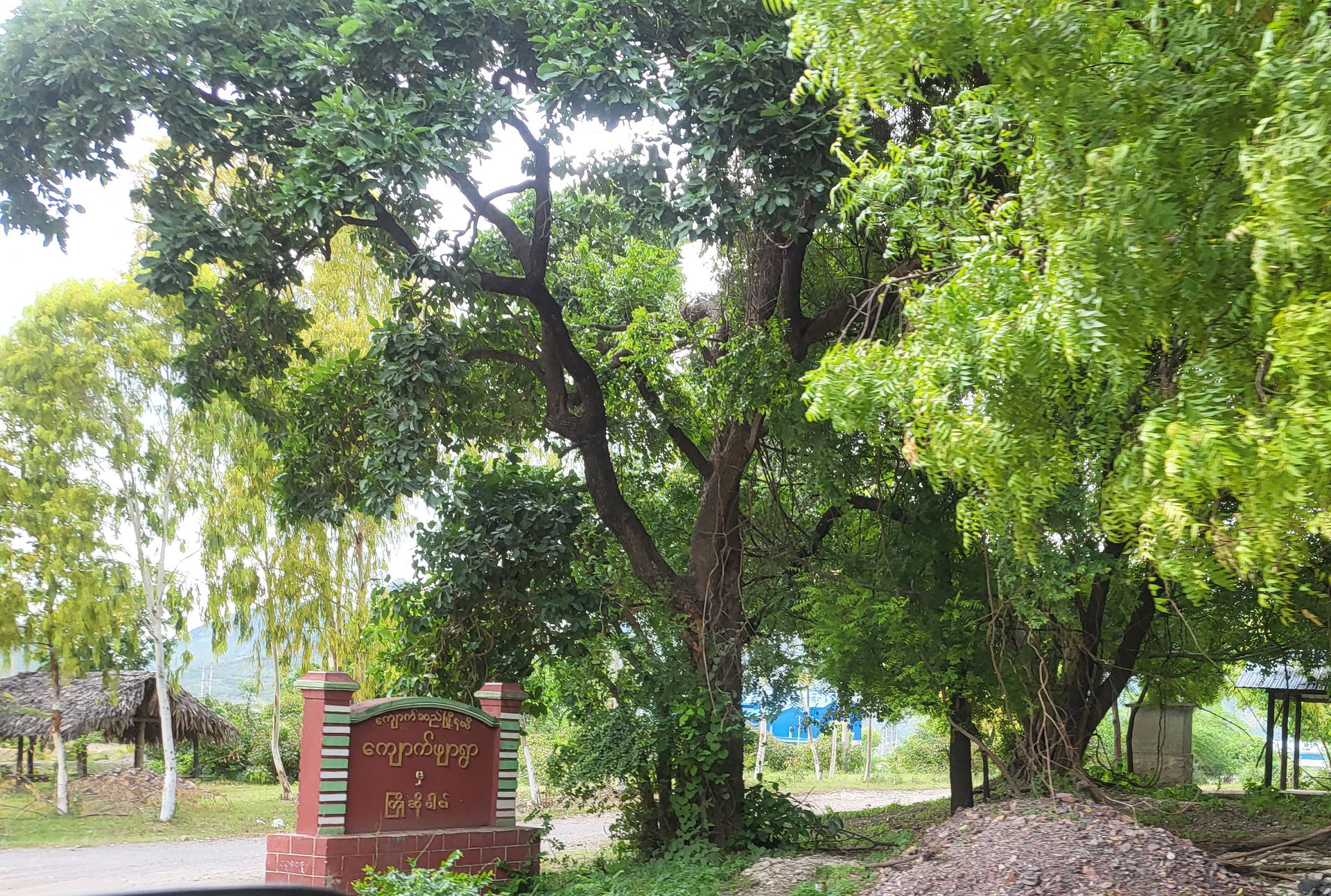 Kyaukphyar village of Kyaukse township.